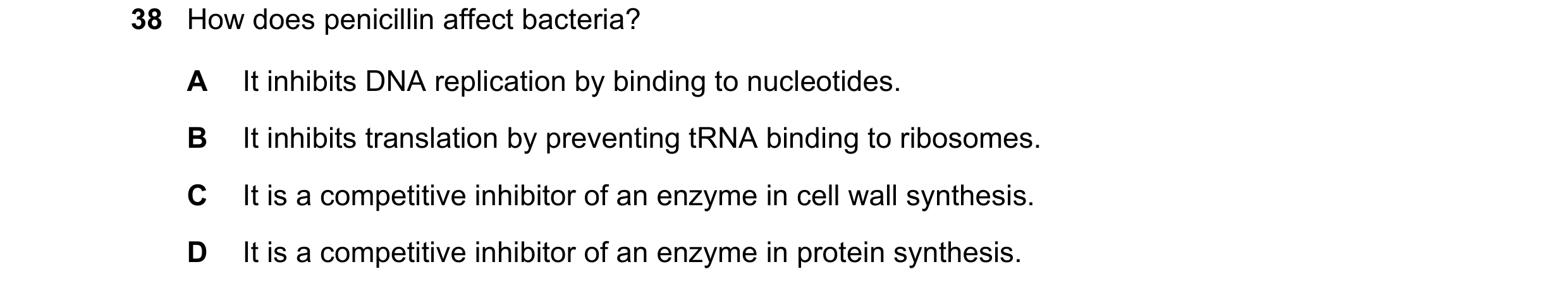 Question 45: How does penicillin affect bacteria? A It inhibits DNA replication by binding to nucleotides. B It inhibits translation by preventing tRNA …
