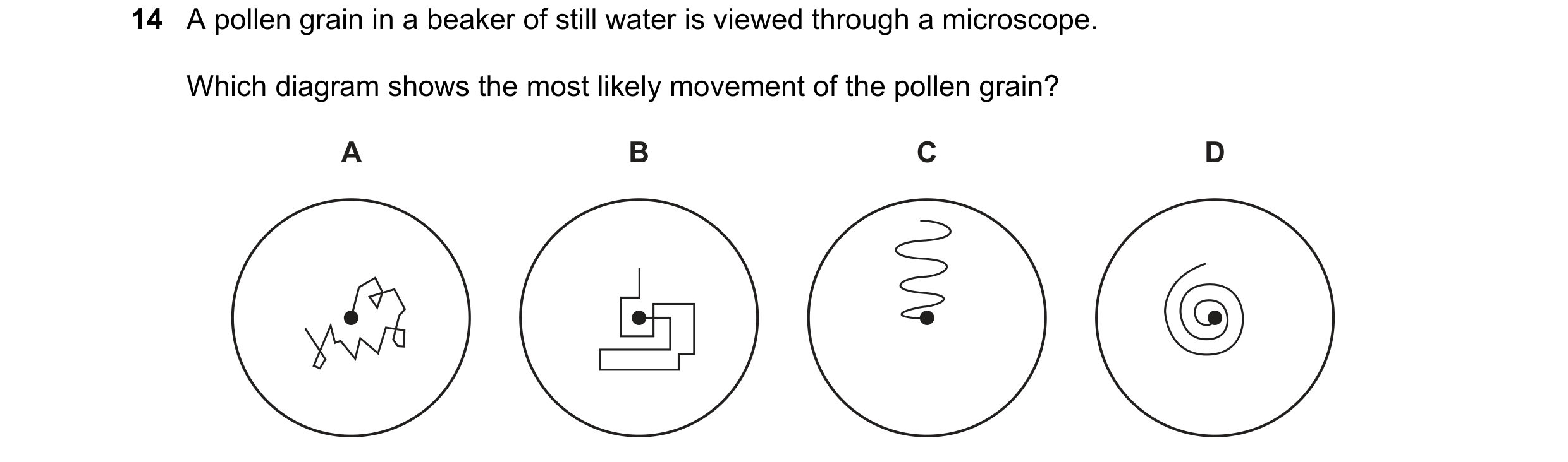 Question 144: A pollen grain in a beaker of still water is viewed through a microscope. Which diagram shows the most likely movement of the pollen grain?…