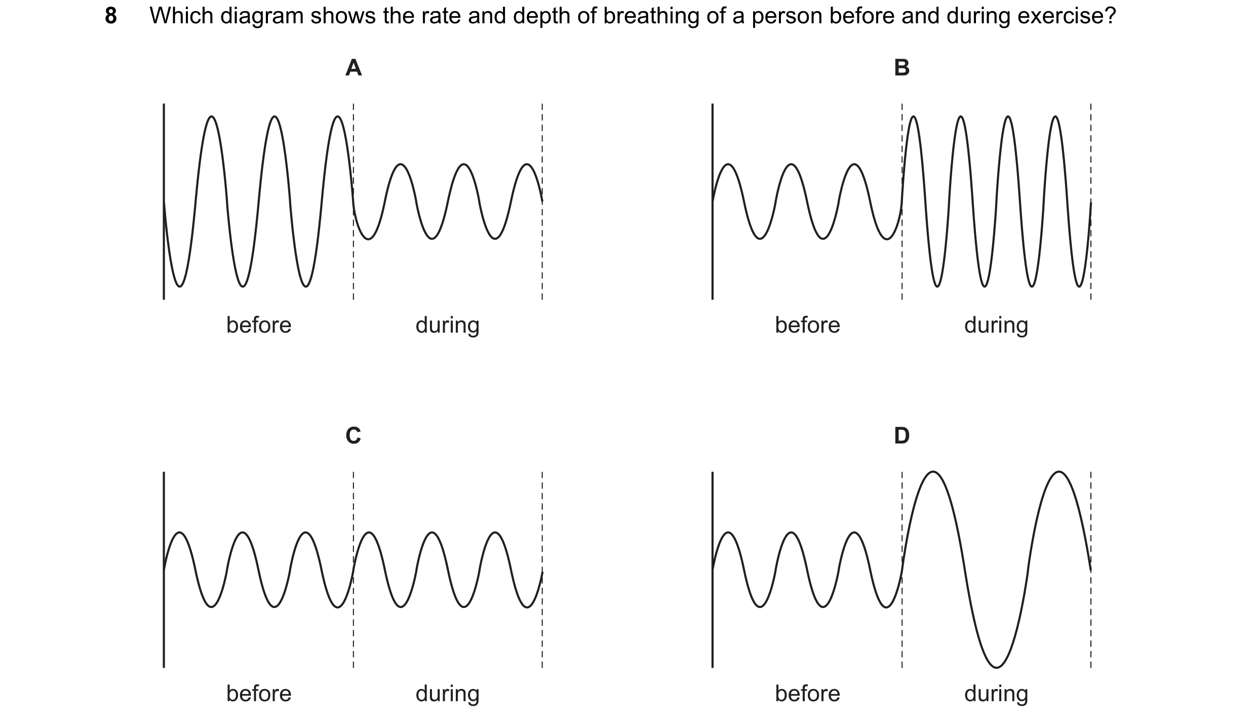 Question 15: Which diagram shows the rate and depth of breathing of a person before and during exercise? A B before during before during C D before duri…