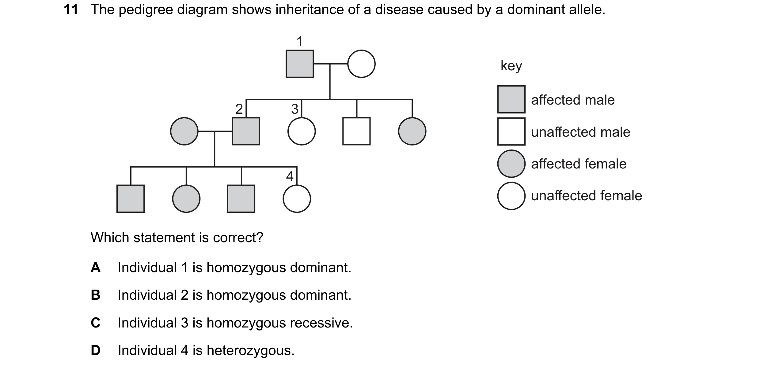 Question 11: The pedigree diagram shows inheritance of a disease caused by a dominant allele. 1 key affected male 2 3 unaffected male affected female 4 …