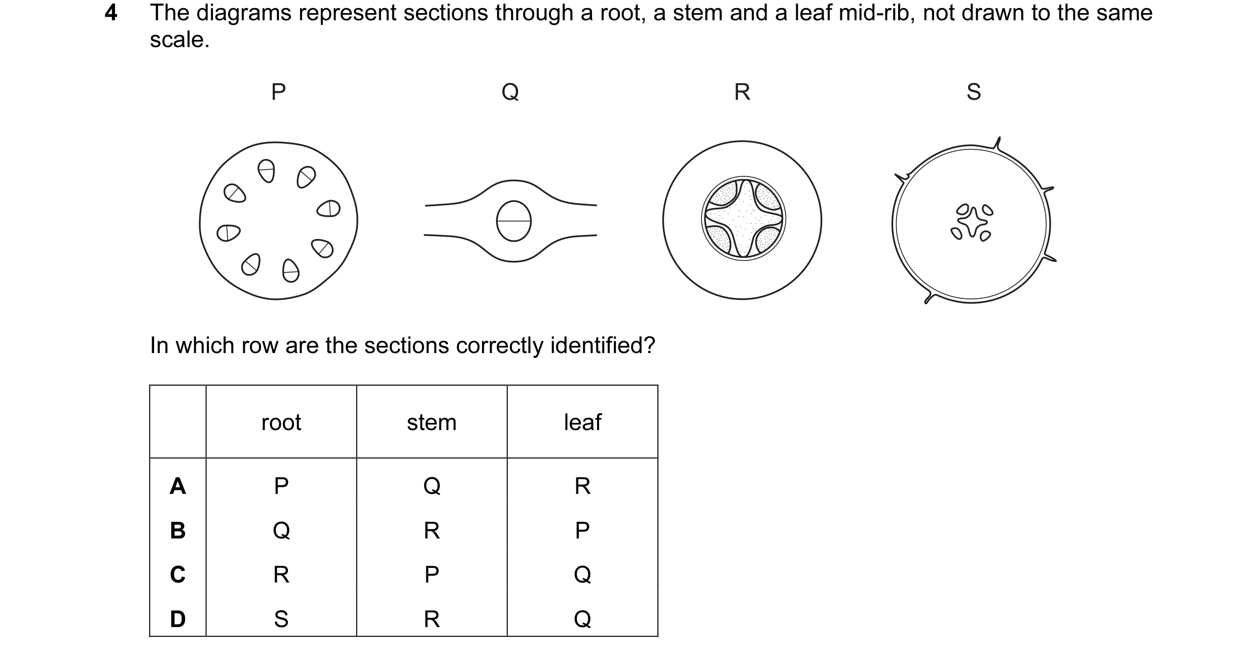 Question 5: The diagrams represent sections through a root, a stem and a leaf mid-rib, not drawn to the same scale. P Q R S In which row are the sectio…