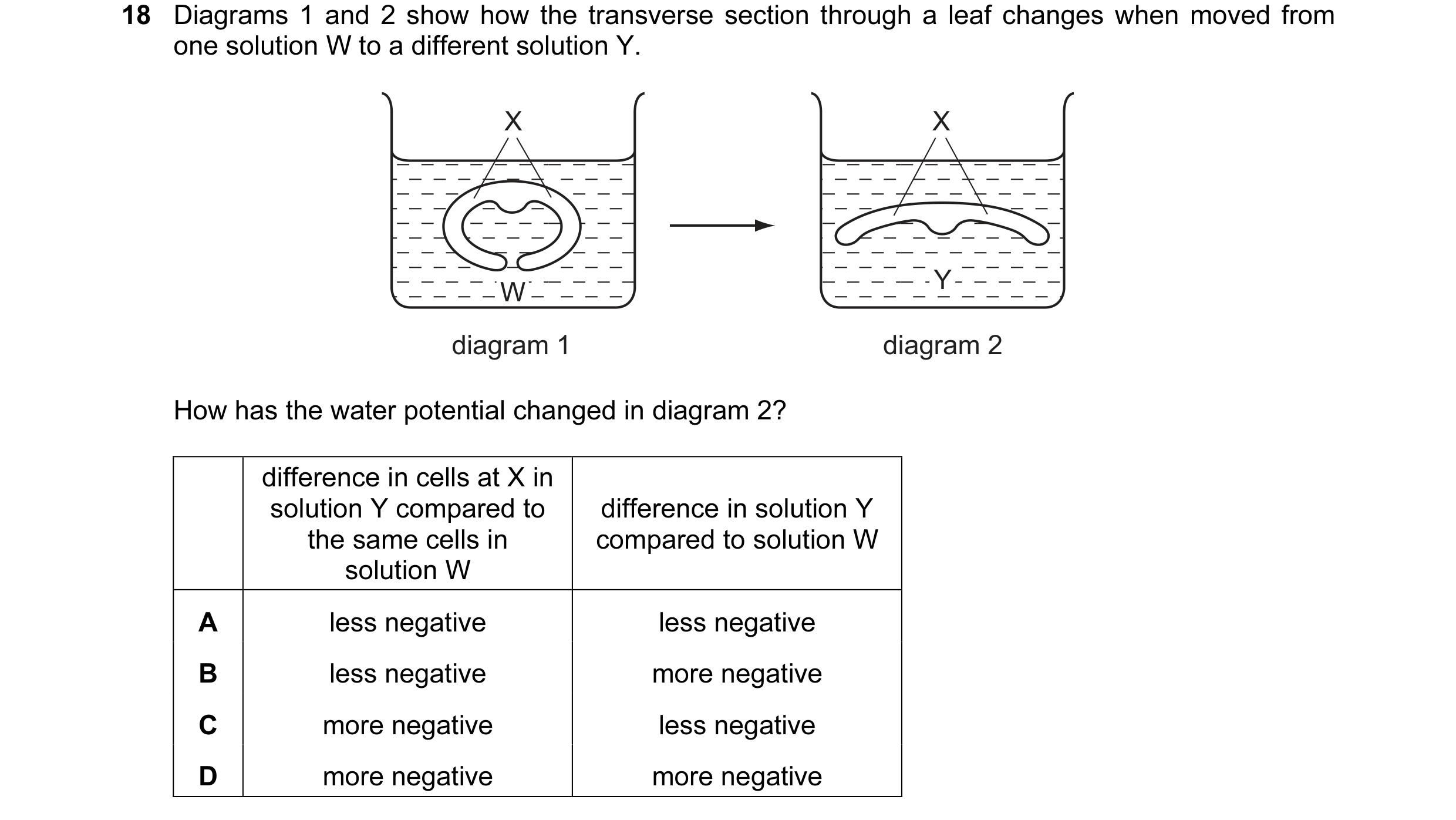 Question 56: Diagrams 1 and 2 show how the transverse section through a leaf changes when moved from one solution W to a different solution Y. X X W Y d…