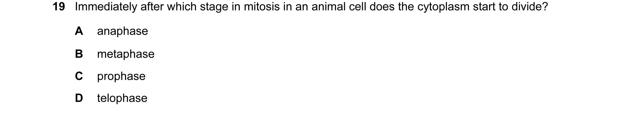 Question 43: Immediately after which stage in mitosis in an animal cell does the cytoplasm start to divide? A anaphase B metaphase C prophase D telophase