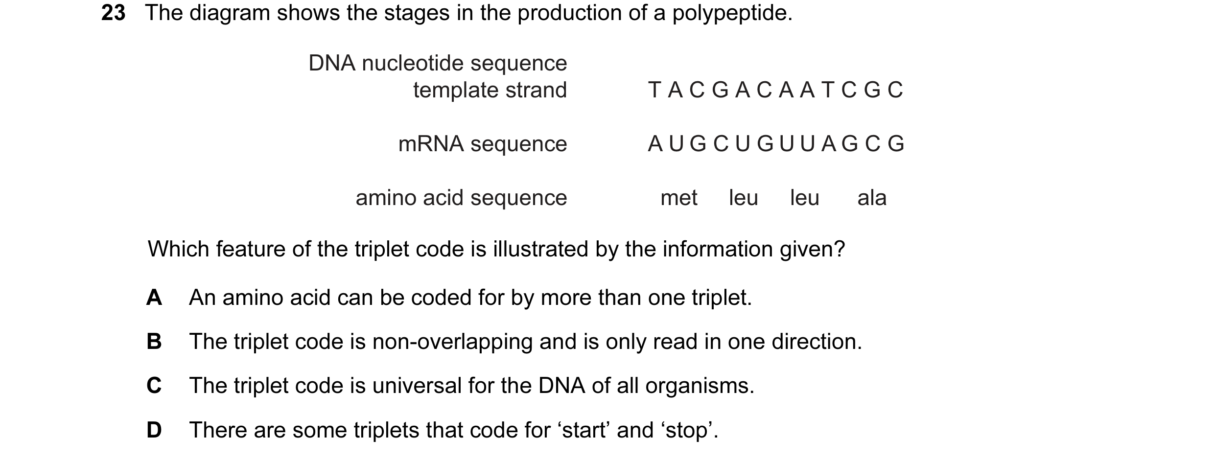 Question 42: The diagram shows the stages in the production of a polypeptide. DNA nucleotide sequence template strand T A C G A C A A T C G C mRNA seque…