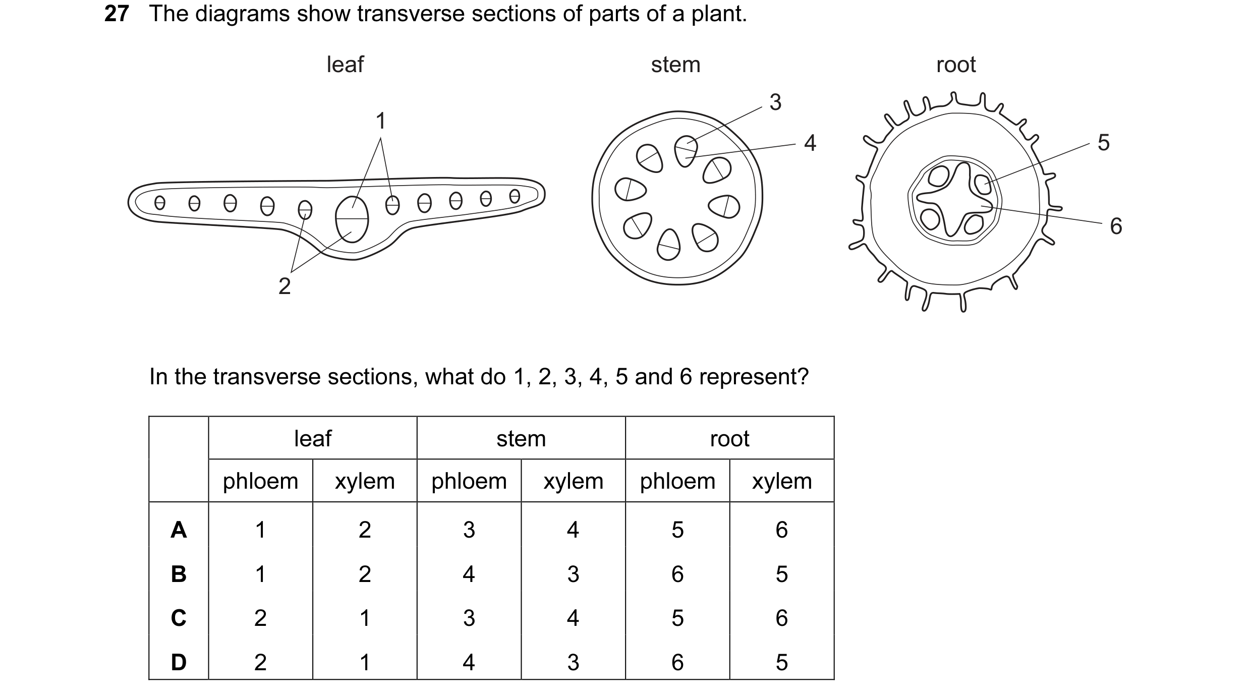 Question 21: The diagrams show transverse sections of parts of a plant. leaf stem root 3 1 4 5 6 2 In the transverse sections, what do 1, 2, 3, 4, 5 and…