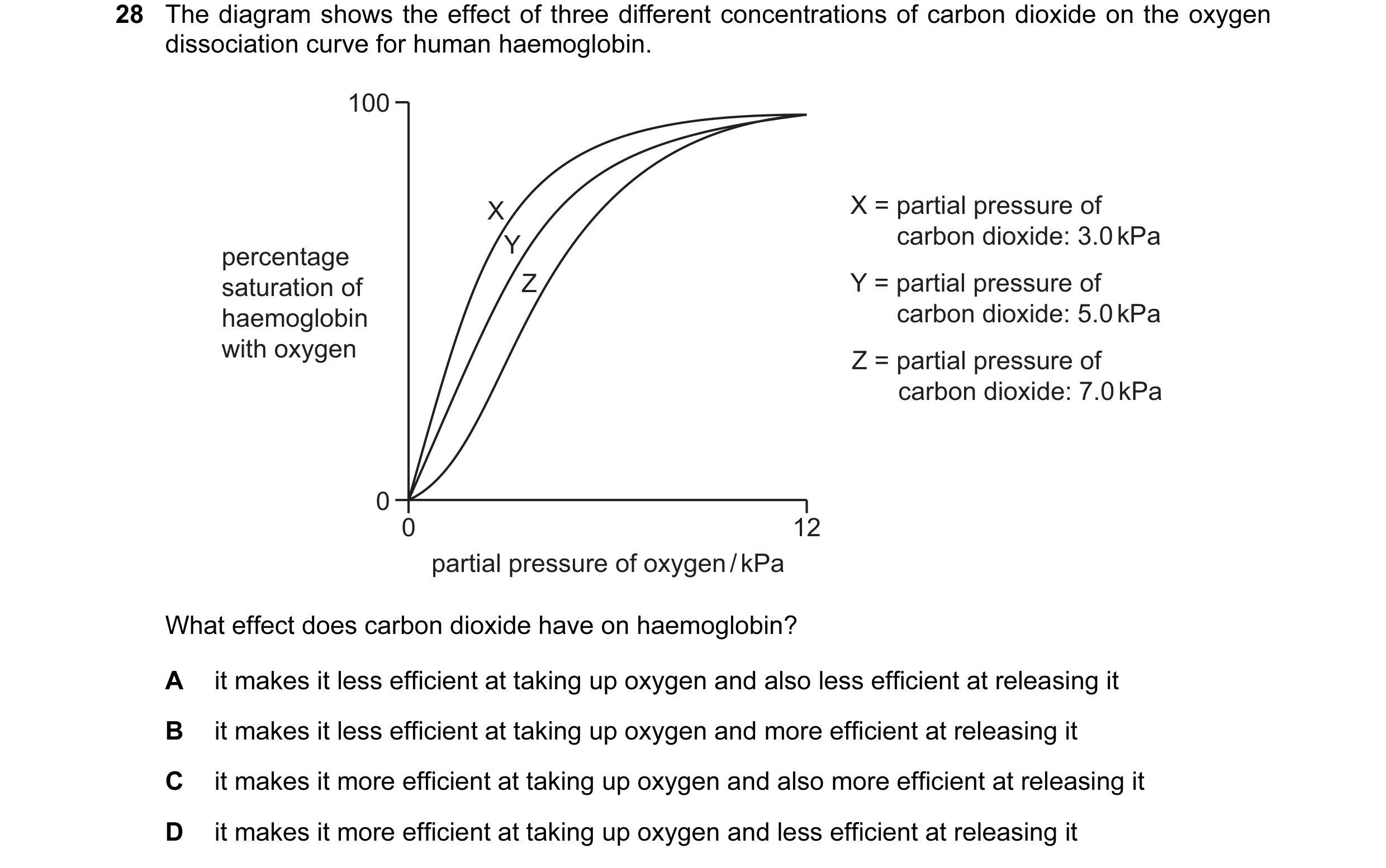 Question 25: The diagram shows the effect of three different concentrations of carbon dioxide on the oxygen dissociation curve for human haemoglobin. 10…