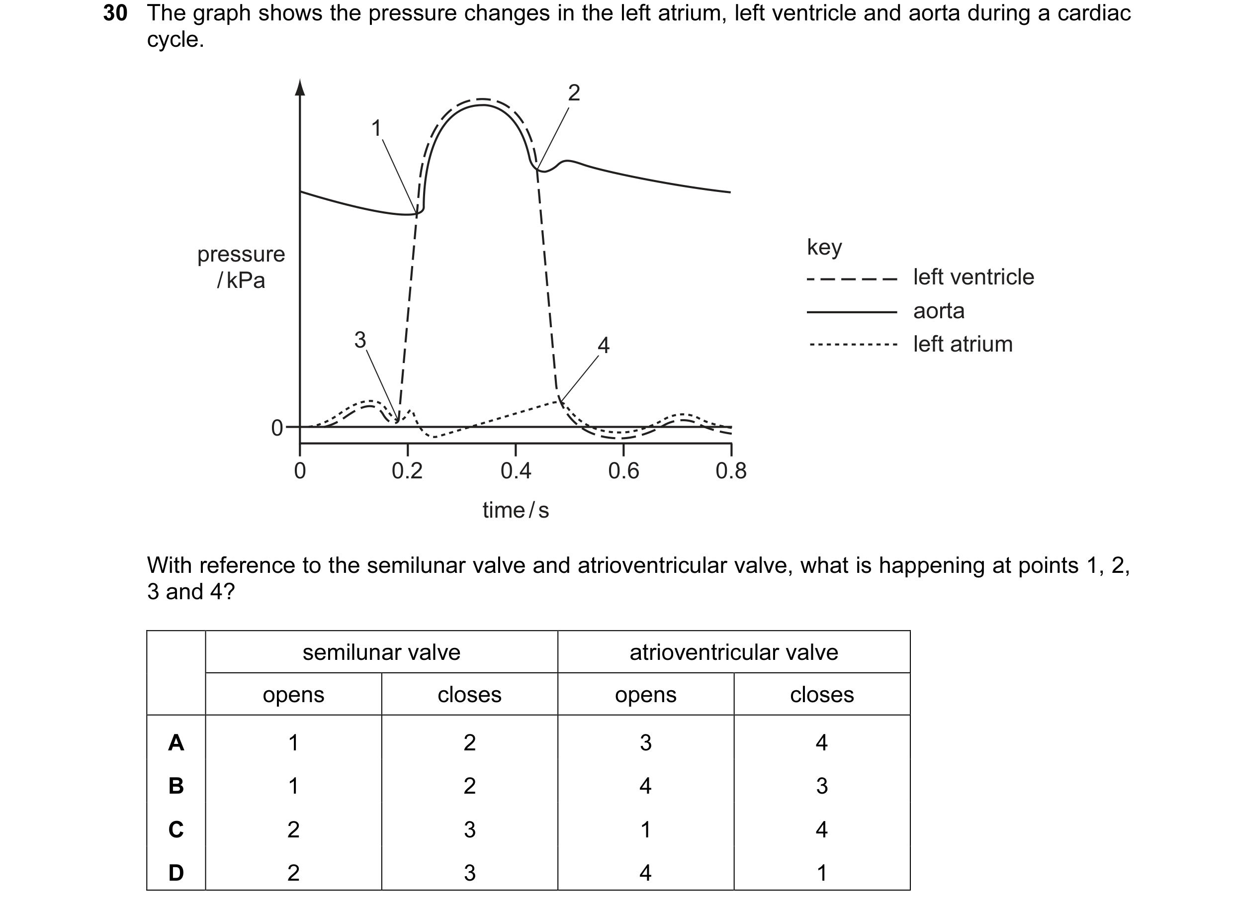 Question 32: The graph shows the pressure changes in the left atrium, left ventricle and aorta during a cardiac cycle. 2 1 pressure key / kPa left ventr…