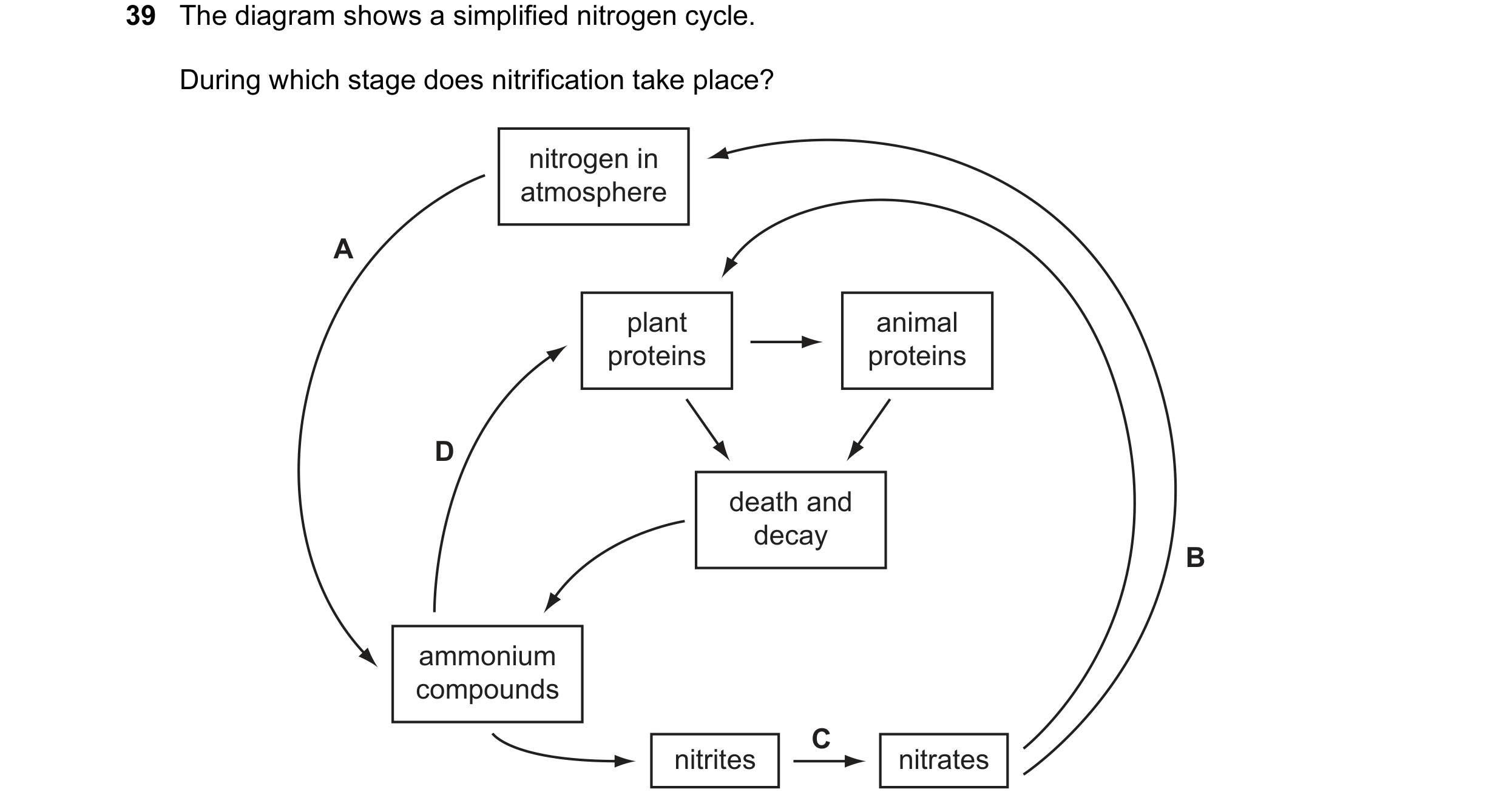 Question 41: The diagram shows a simplified nitrogen cycle. During which stage does nitrification take place? nitrogen in atmosphere A plant animal prot…