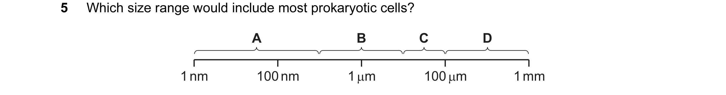 Question 71: Which size range would include most prokaryotic cells? A B C D 1 nm 100 nm 1 µm 100 µm 1 mm