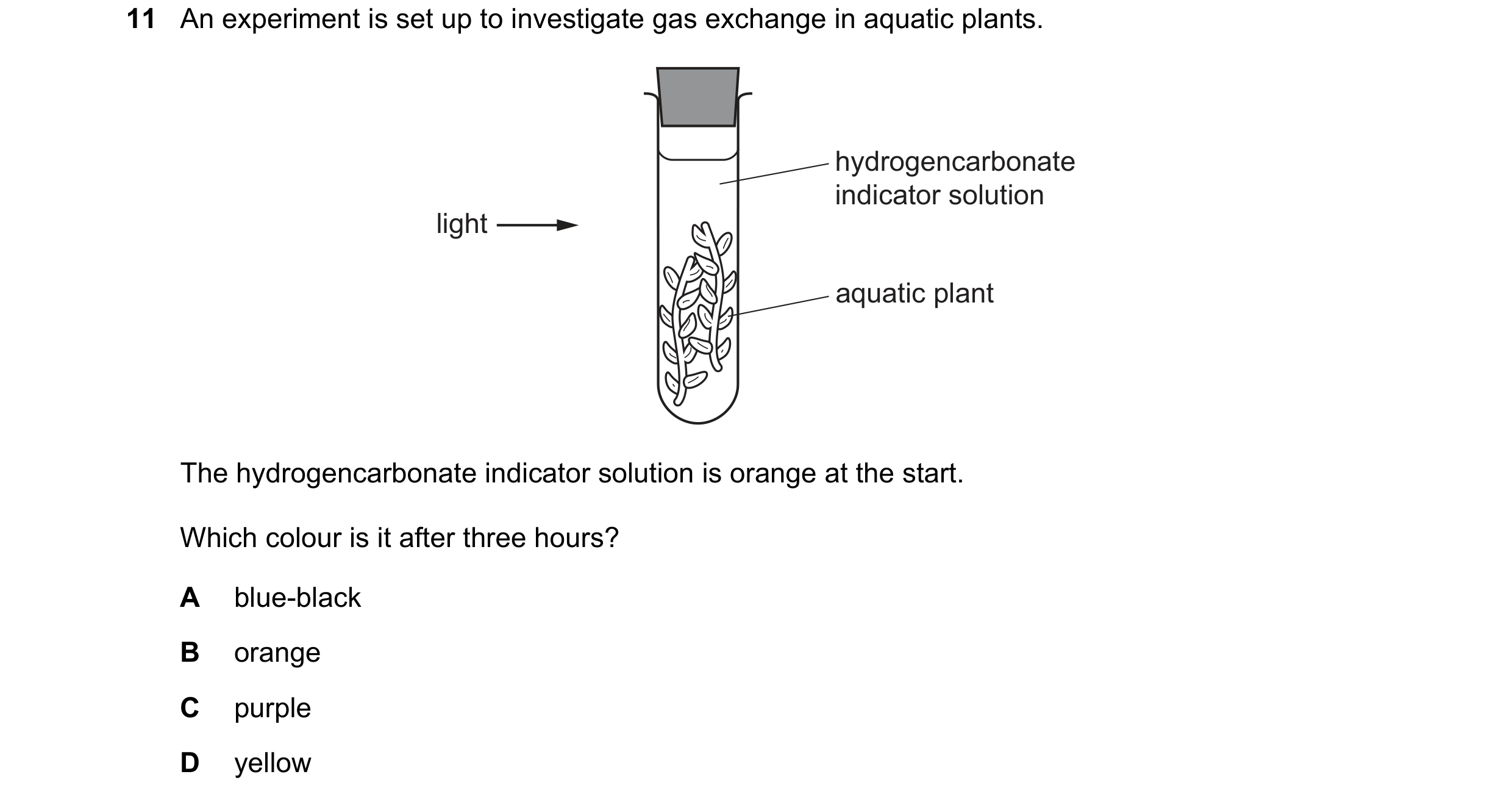 Question 21: An experiment is set up to investigate gas exchange in aquatic plants. hydrogencarbonate indicator solution light aquatic plant The hydroge…