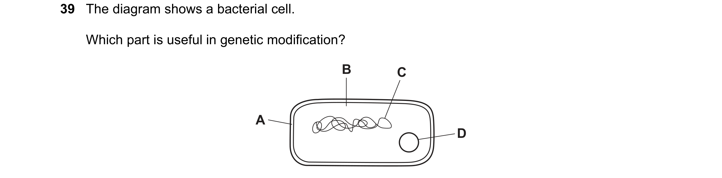 Question 15: The diagram shows a bacterial cell. Which part is useful in genetic modification? B C A D