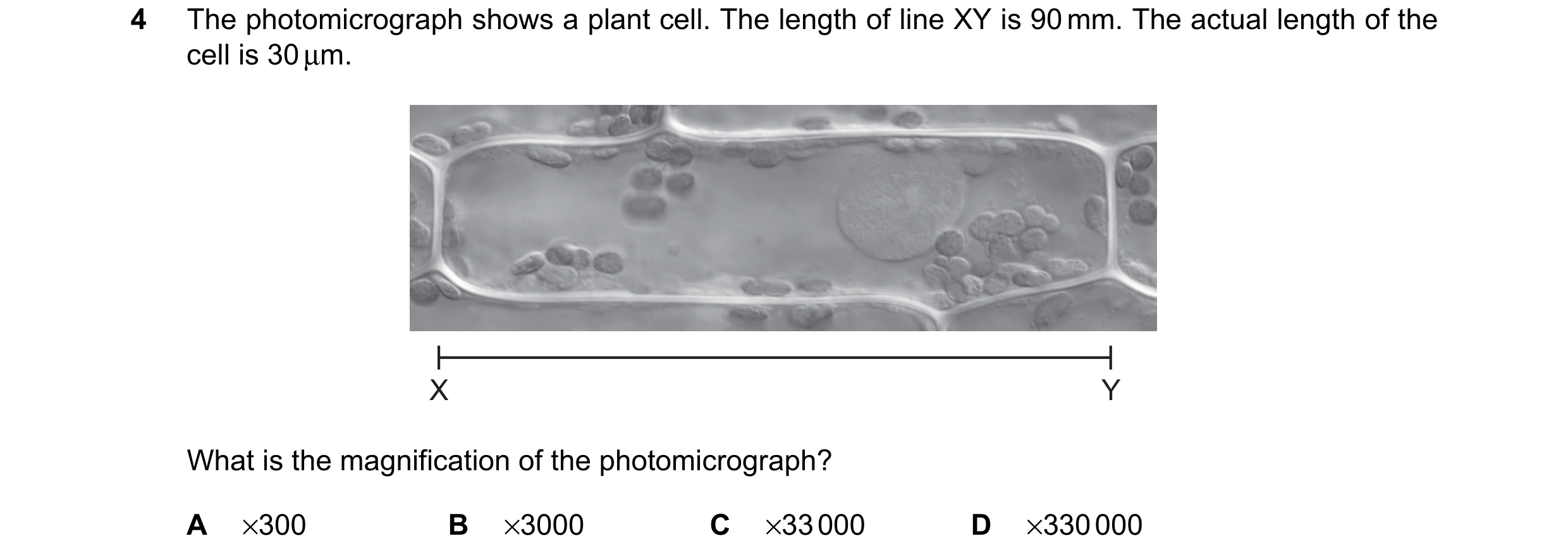 Question 8: The photomicrograph shows a plant cell. The length of line XY is 90 mm. The actual length of the cell is 30 µm. X Y What is the magnificati…
