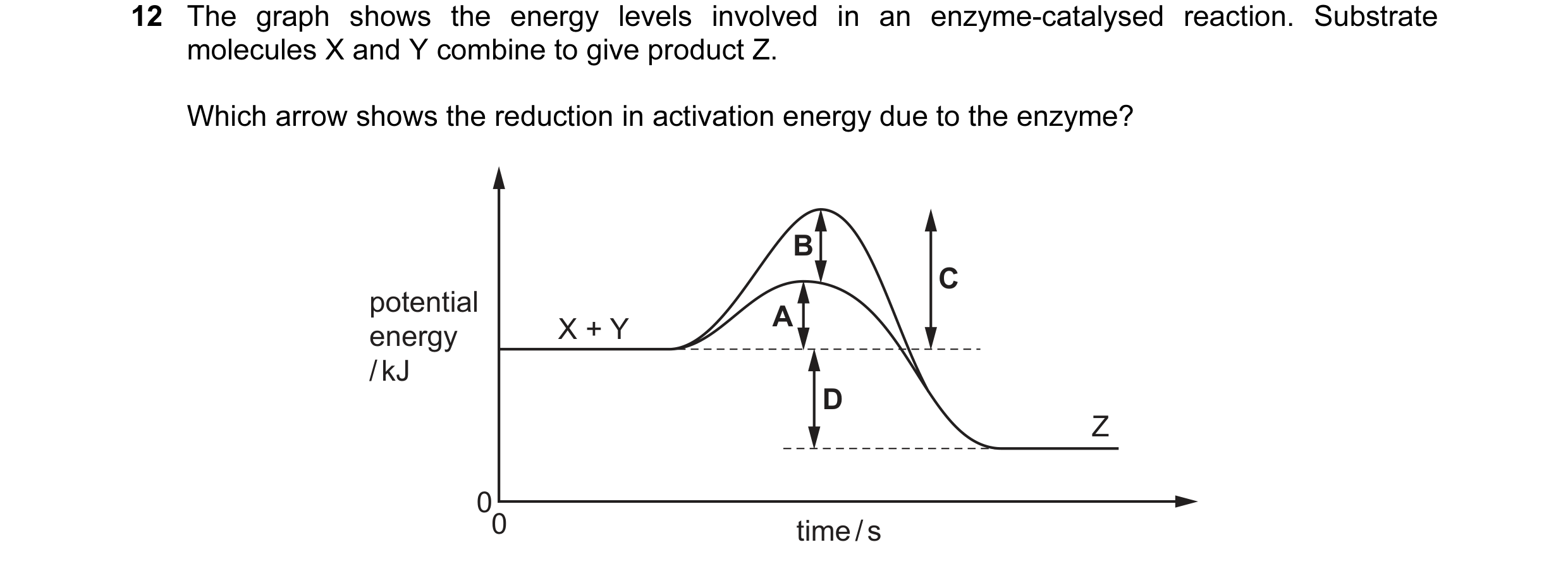 Question 33: The graph shows the energy levels involved in an enzyme-catalysed reaction. Substrate molecules X and Y combine to give product Z. Which ar…