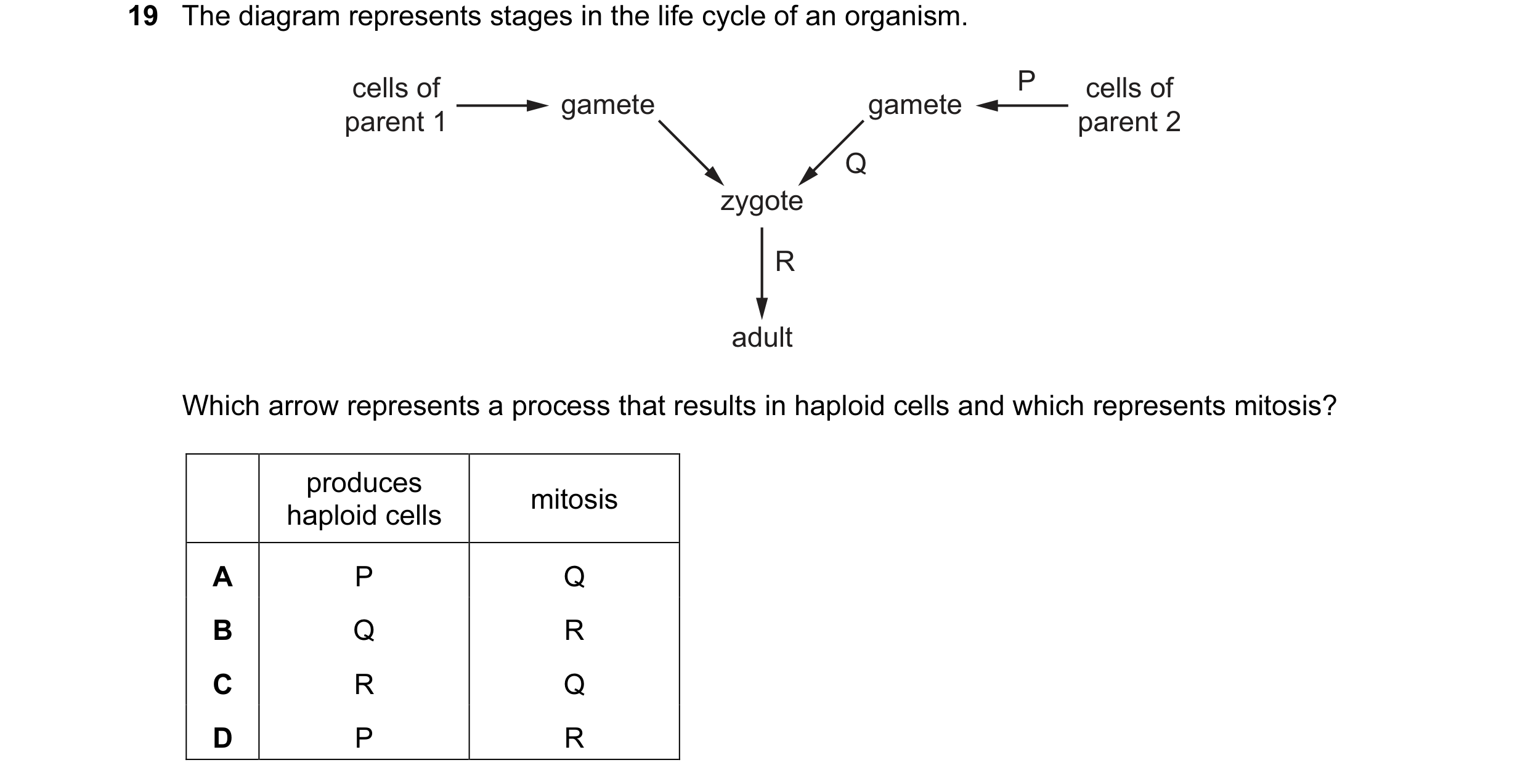 Question 70: The diagram represents stages in the life cycle of an organism. cells of P cells of gamete gamete parent 1 parent 2 Q zygote R adult Which …