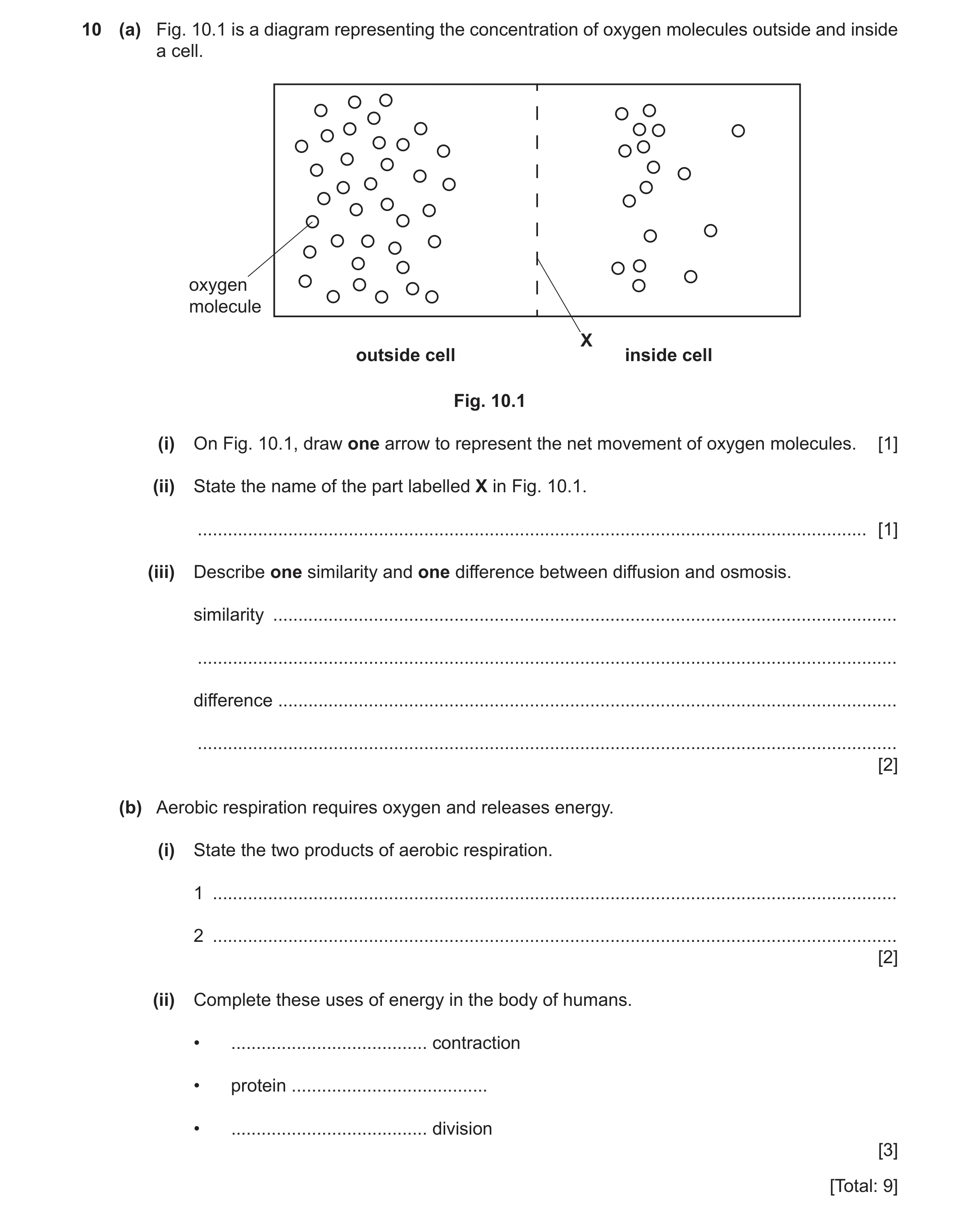 Question 14: (a) Fig. 10.1 is a diagram representing the concentration of oxygen molecules outside and inside a cell. oxygen molecule X outside cell ins…