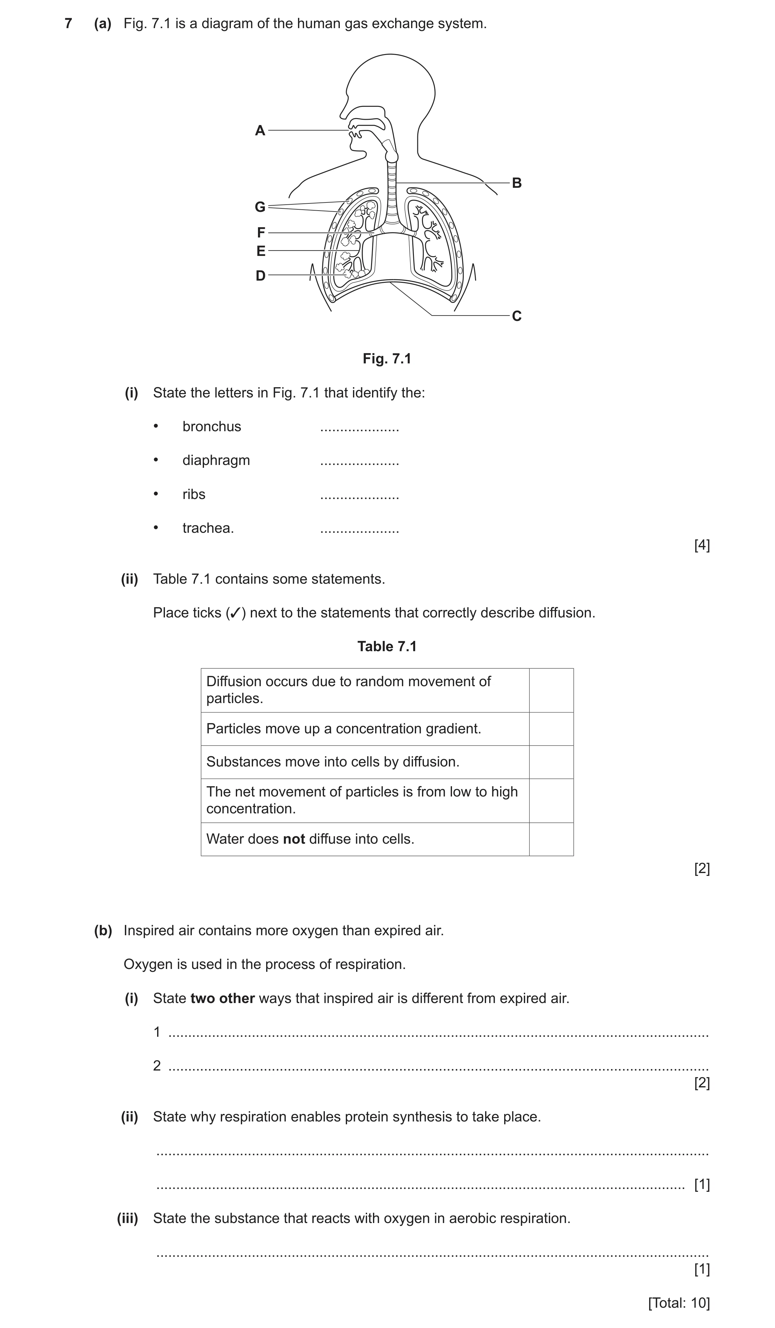 Question 10: (a) Fig. 7.1 is a diagram of the human gas exchange system. A B G F E D C Fig. 7.1 (i) State the letters in Fig. 7.1 that identify the: • b…