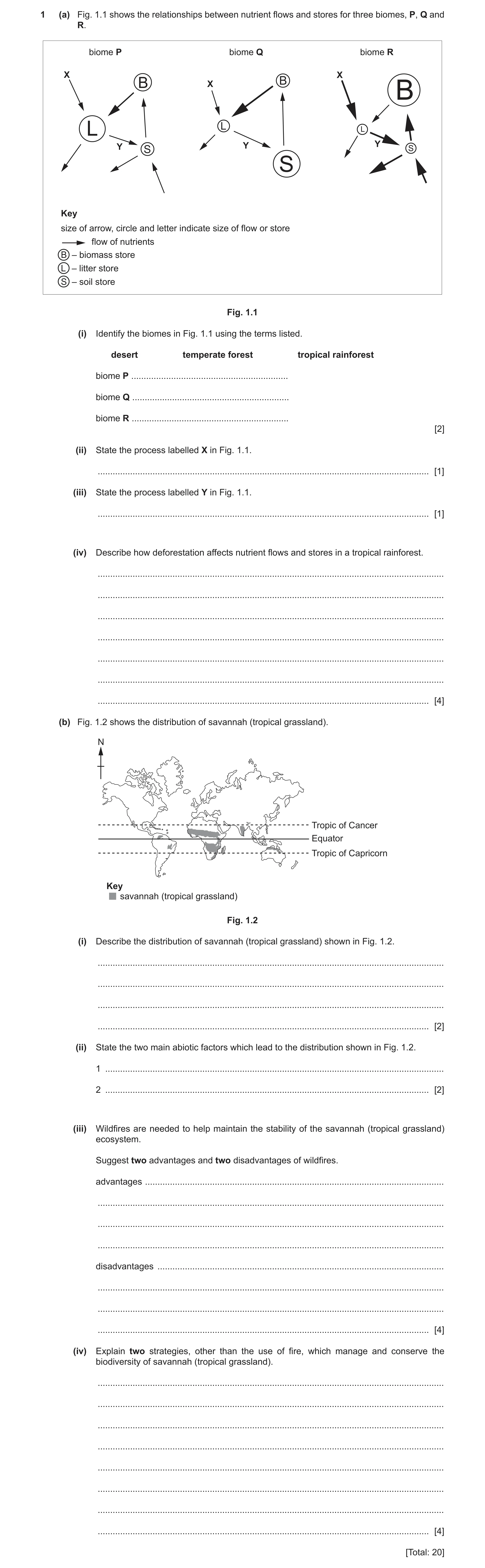 Question 19: (a) Fig. 1.1 shows the relationships between nutrient flows and stores for three biomes, P, Q and R. biome P biome Q biome R X X B X B B L …