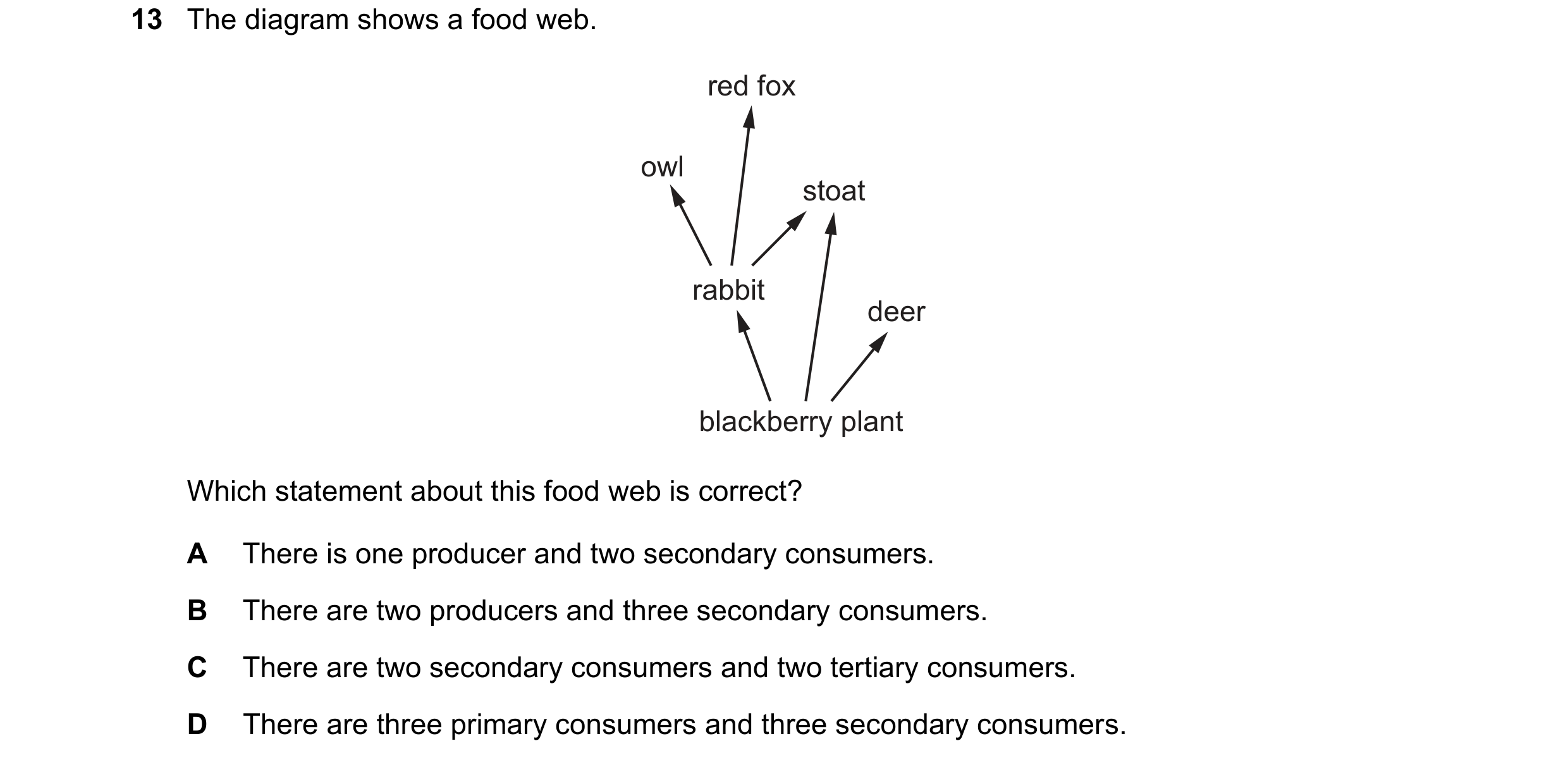 Question 45: The diagram shows a food web. red fox owl stoat rabbit deer blackberry plant Which statement about this food web is correct? A There is one…