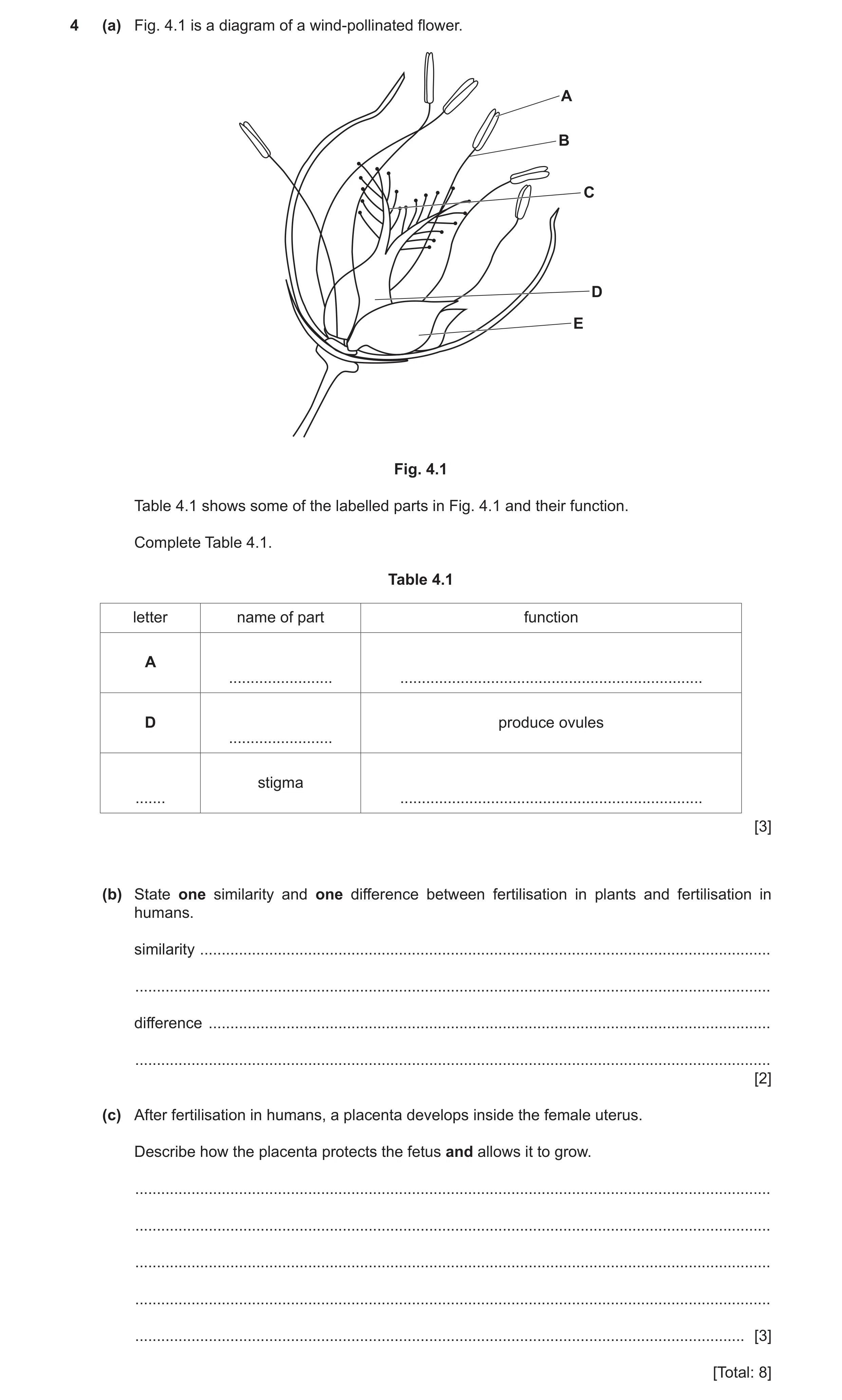 Question 14: (a) Fig. 4.1 is a diagram of a wind‑pollinated flower. A B C D E Fig. 4.1 Table 4.1 shows some of the labelled parts in Fig. 4.1 and their …