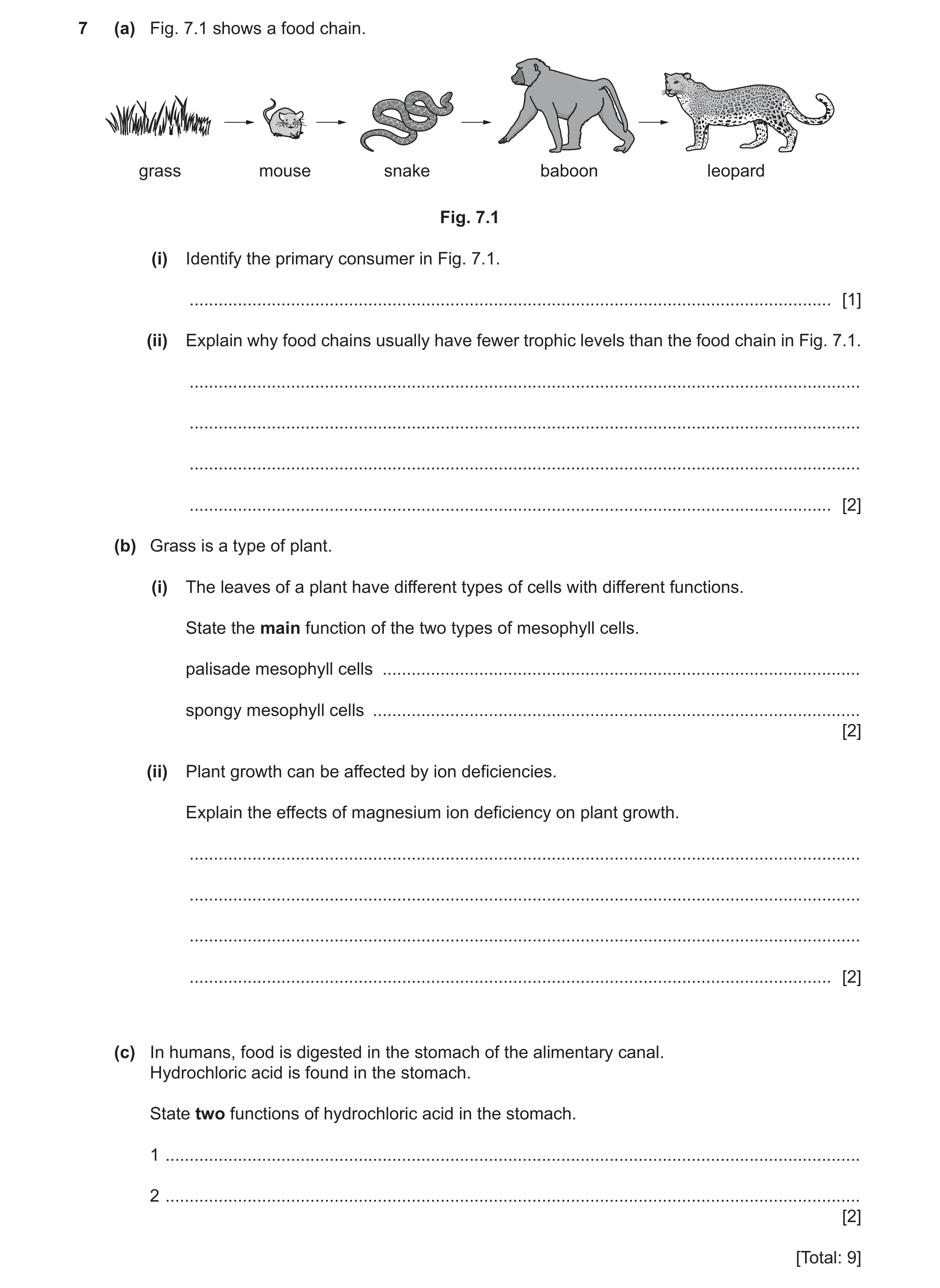 Question 13: (a) Fig. 7.1 shows a food chain. grass mouse snake baboon leopard Fig. 7.1 (i) Identify the primary consumer in Fig. 7.1. .................…