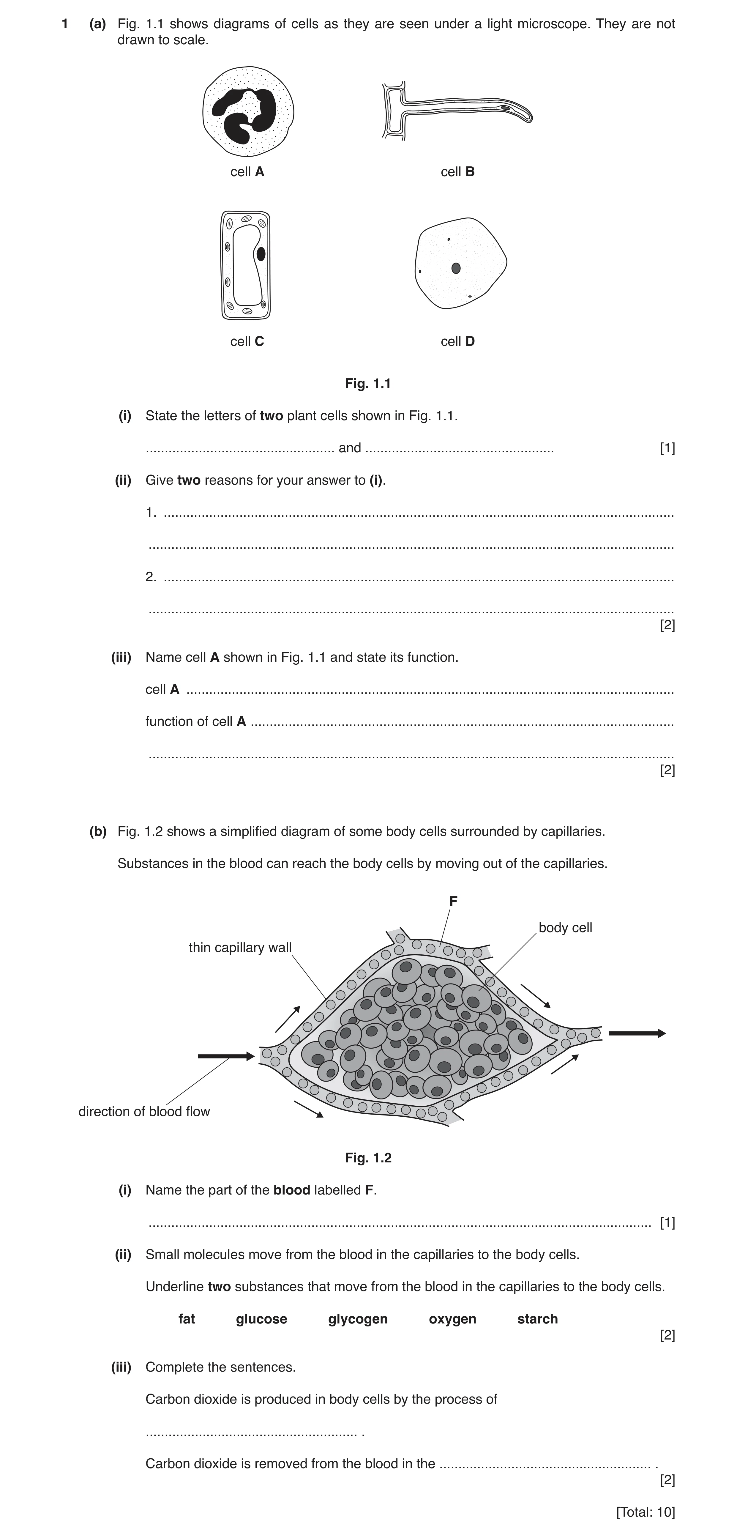Question 4: (a) Fig. 1.1 shows diagrams of cells as they are seen under a light microscope. They are not drawn to scale. cell A cell B cell C cell D Fi…