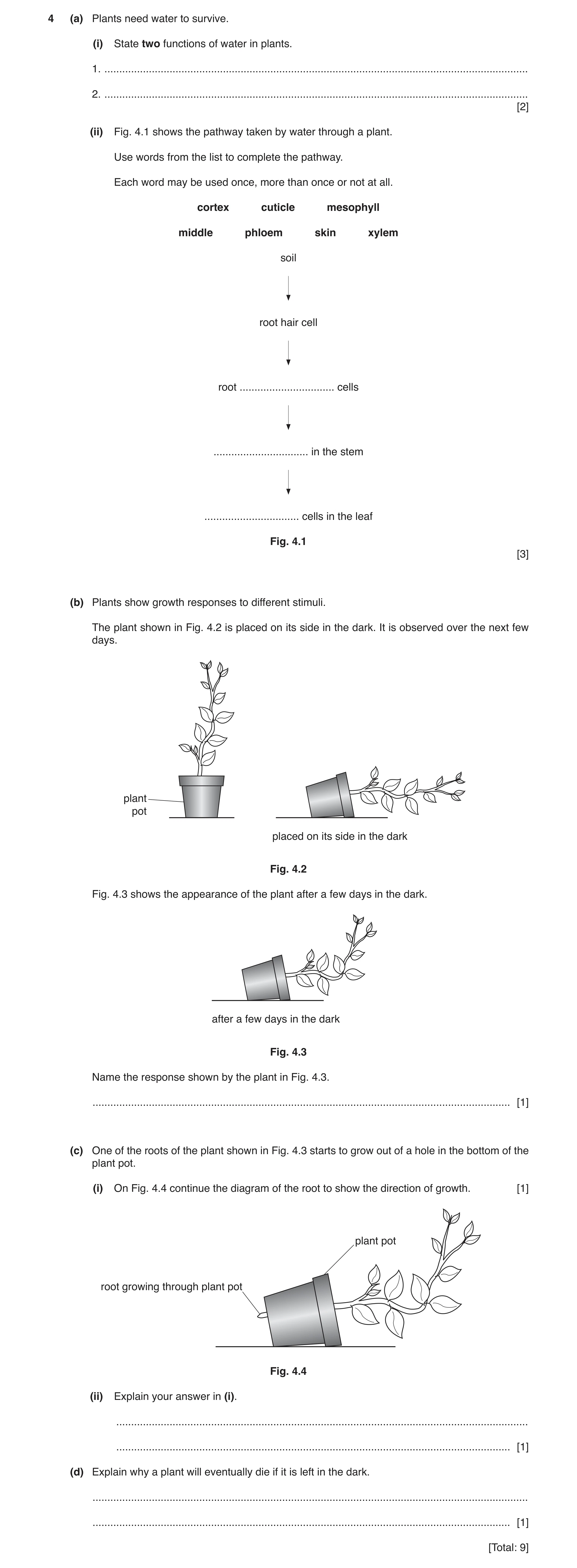 Question 13: (a) Plants need water to survive. (i) State two functions of water in plants. 1. ..........................................................…