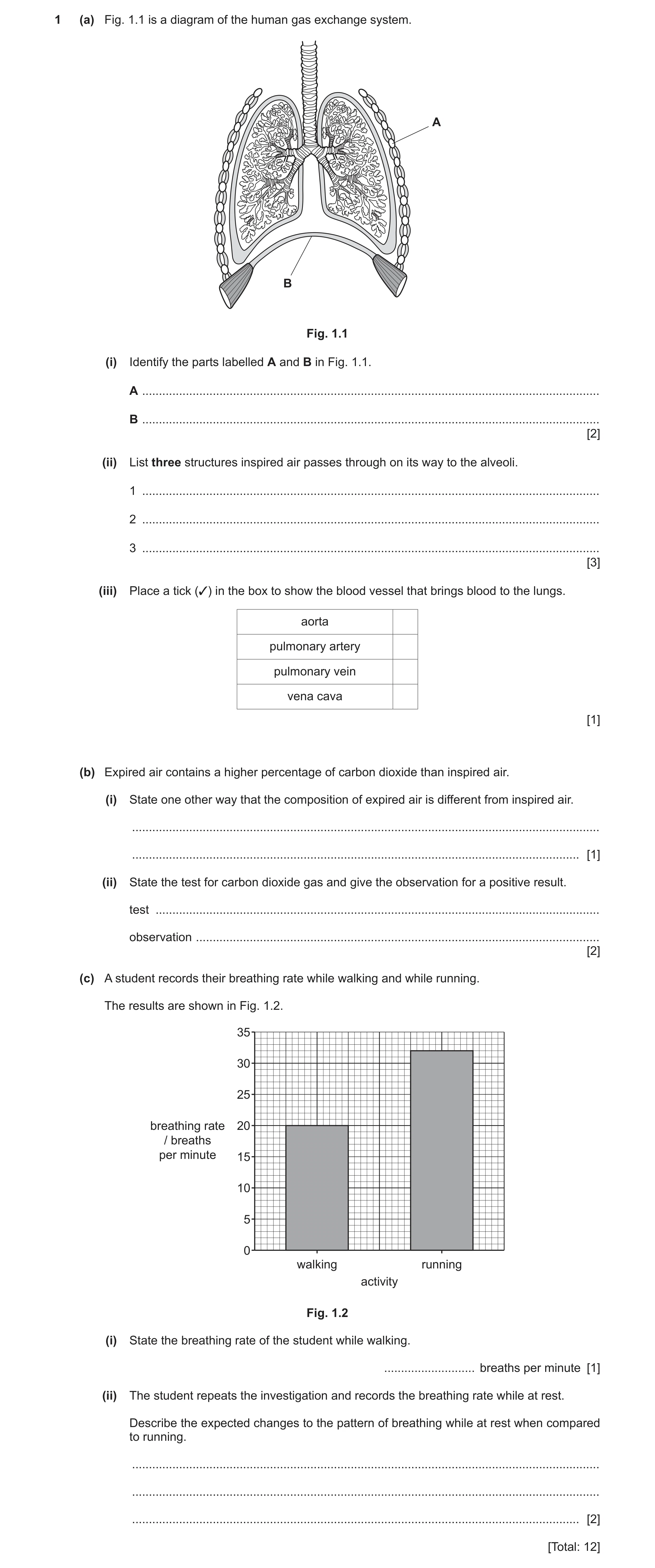 Question 4: (a) Fig. 1.1 is a diagram of the human gas exchange system. A B Fig. 1.1 (i) Identify the parts labelled A and B in Fig. 1.1. A ...........…