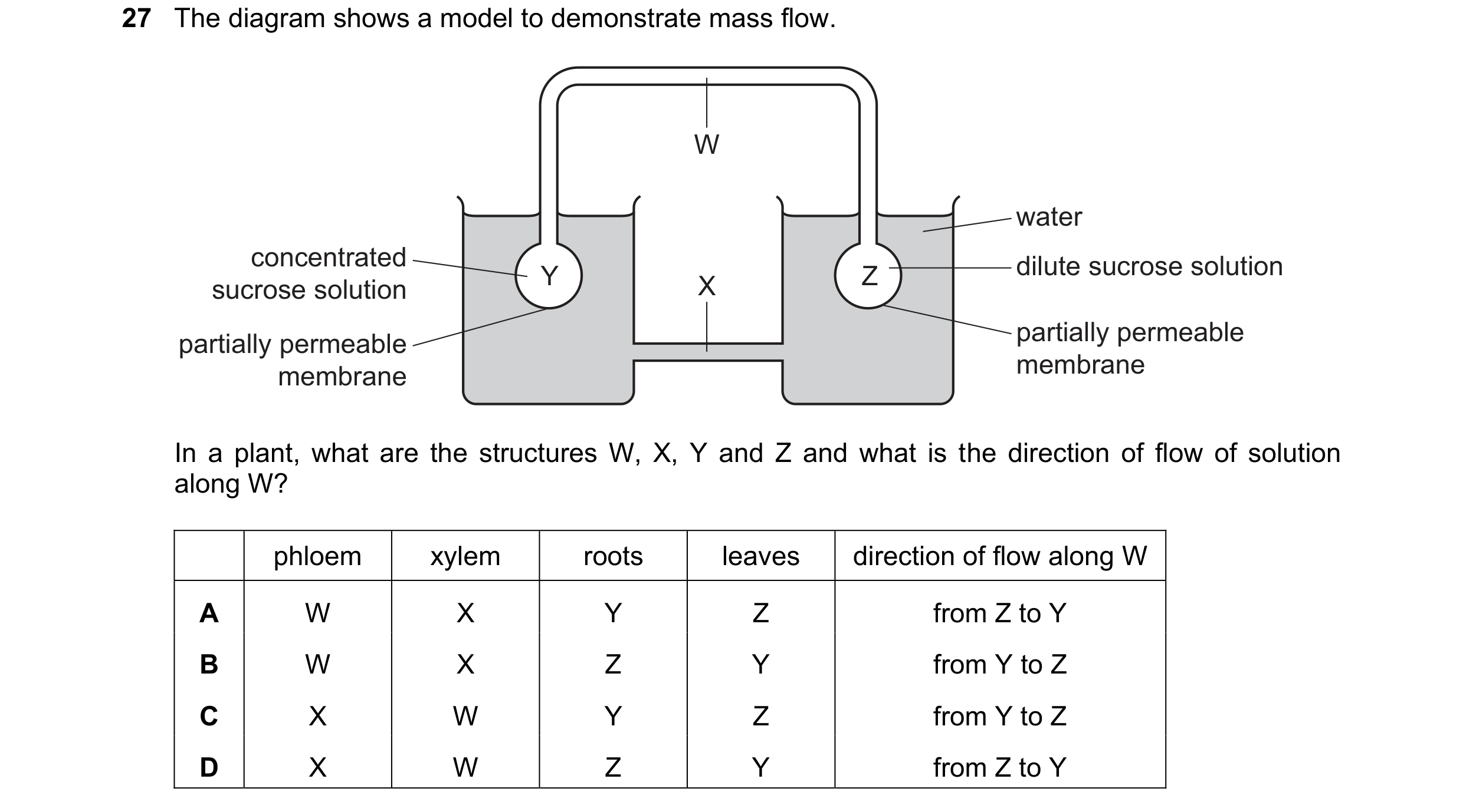 Question 249: The diagram shows a model to demonstrate mass flow. W water concentrated dilute sucrose solution Y X Z sucrose solution partially permeable…
