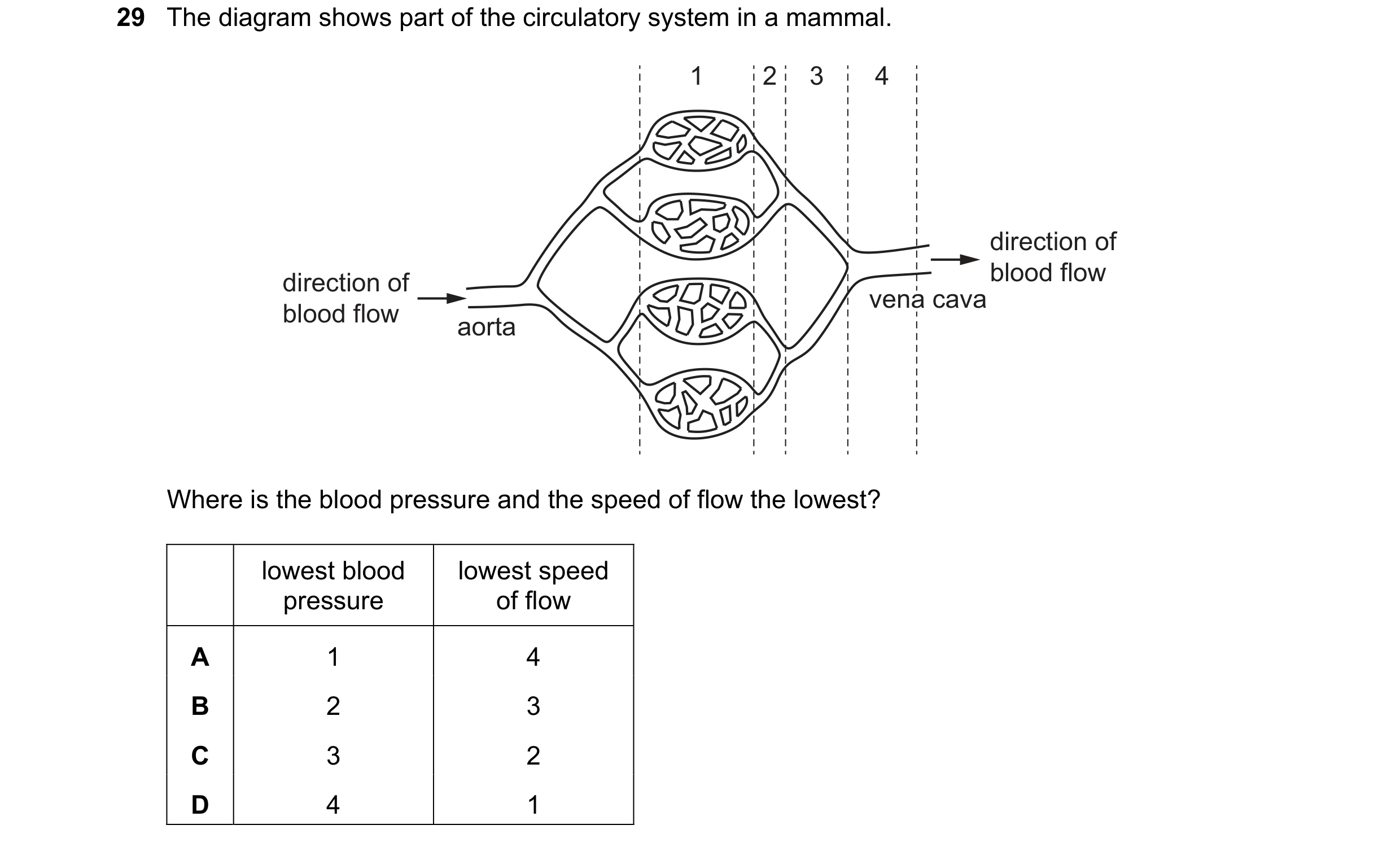 Question 115: The diagram shows part of the circulatory system in a mammal. 1 2 3 4 direction of direction of blood flow vena cava vena cava vena cava bl…