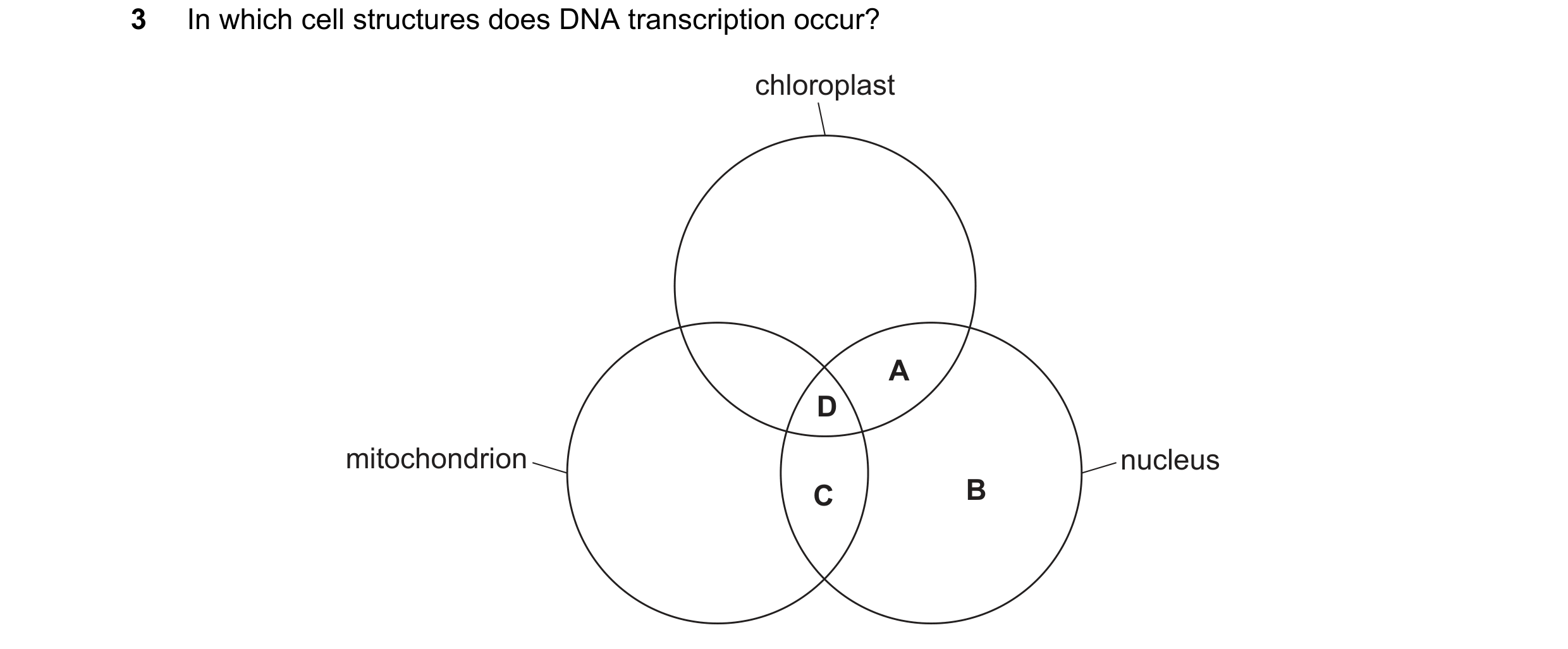 Question 140: In which cell structures does DNA transcription occur? chloroplast A D mitochondrion nucleus C B