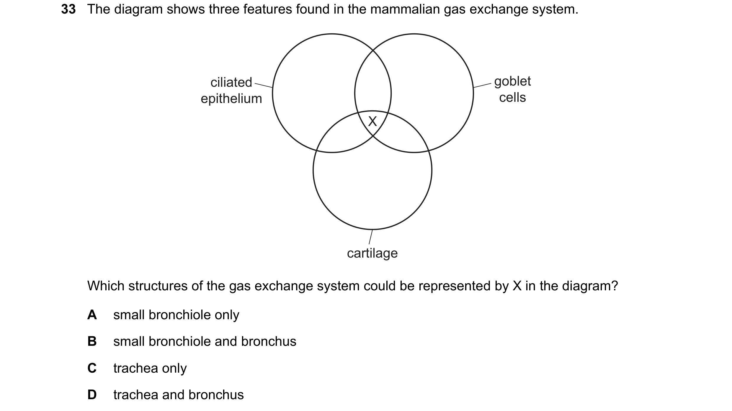 Question 203: The diagram shows three features found in the mammalian gas exchange system. ciliated goblet epithelium cells X cartilage Which structures …