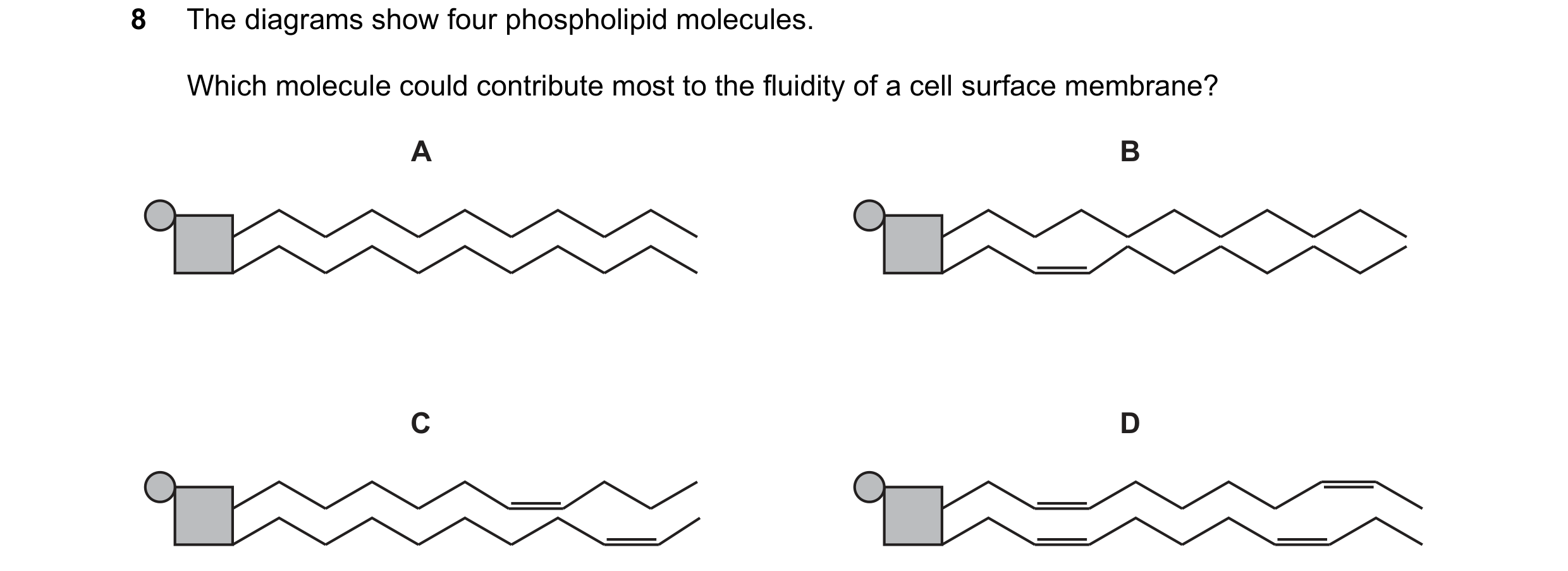 Question 263: The diagrams show four phospholipid molecules. Which molecule could contribute most to the fluidity of a cell surface membrane? A B C D