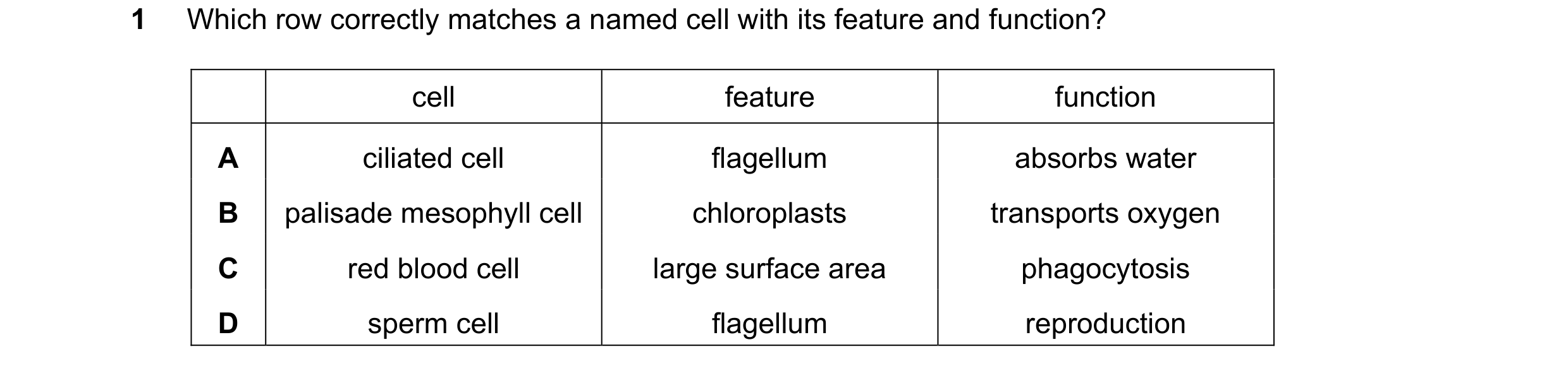Question 26: Which row correctly matches a named cell with its feature and function? cell feature function A ciliated cell flagellum absorbs water B pal…