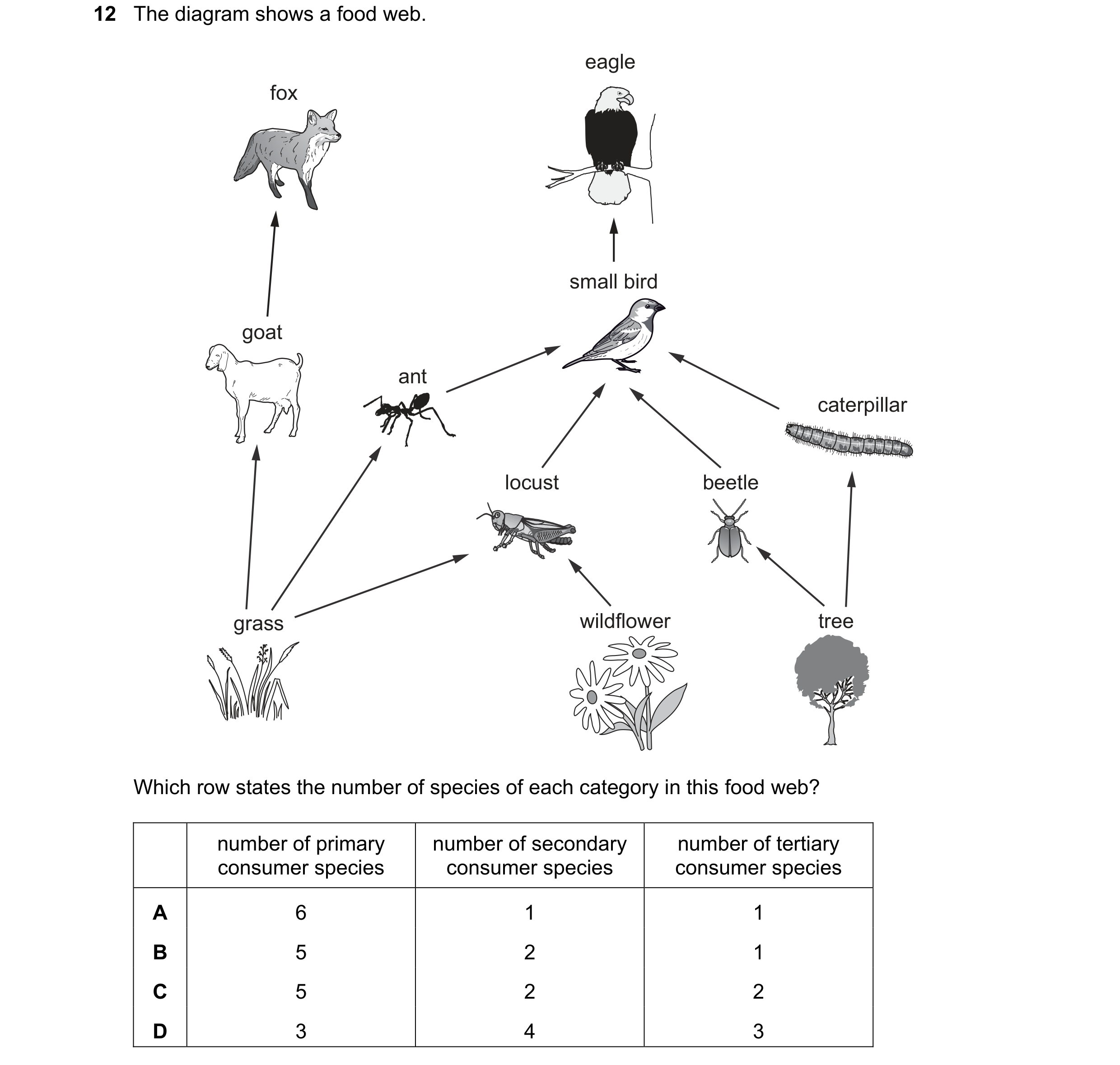 Question 21: The diagram shows a food web. eagle fox small bird goat ant caterpillar locust beetle grass wildflower tree Which row states the number of …