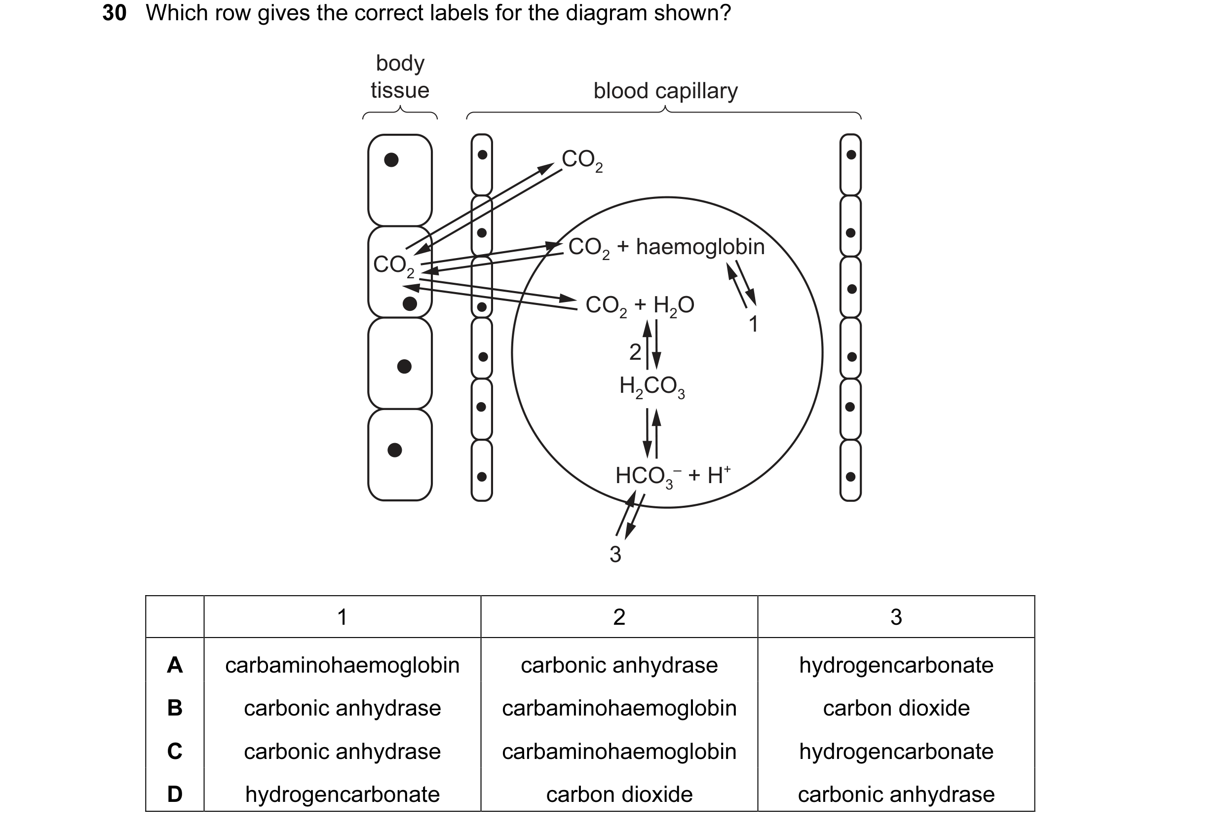 Question 76: Which row gives the correct labels for the diagram shown? body tissue blood capillary CO2 CO2 + haemoglobin CO2 CO2 + H2O 1 2 H2CO3 HCO3 – …