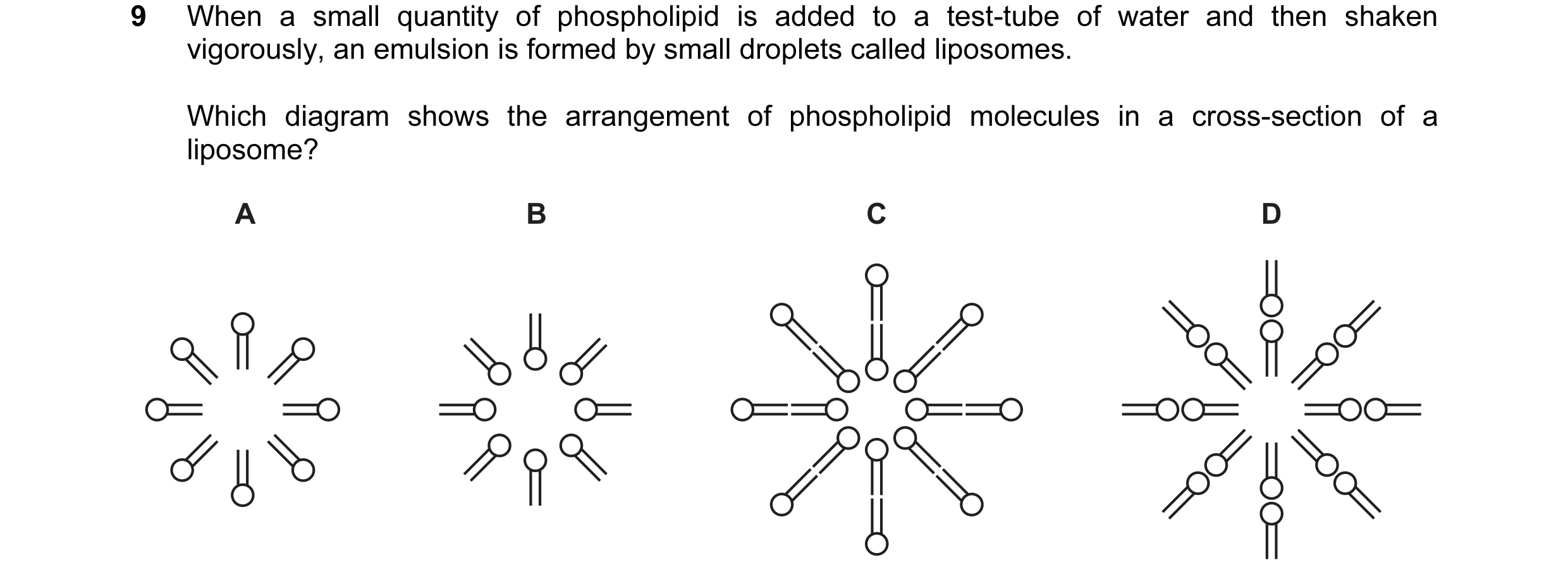 Question 146: When a small quantity of phospholipid is added to a test-tube of water and then shaken vigorously, an emulsion is formed by small droplets …