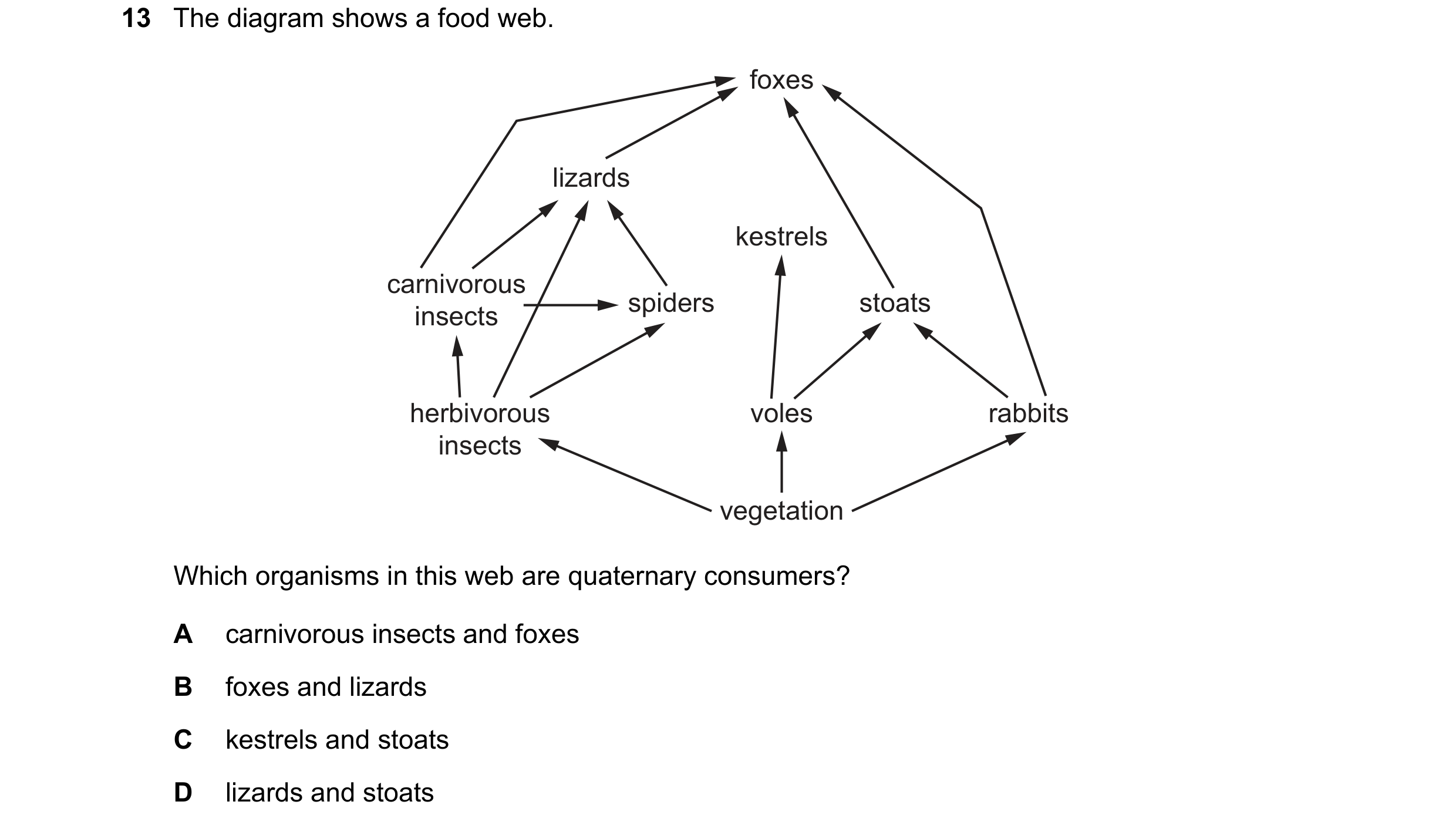 Question 32: The diagram shows a food web. foxes lizards kestrels carnivorous spiders stoats insects herbivorous voles rabbits insects vegetation Which …