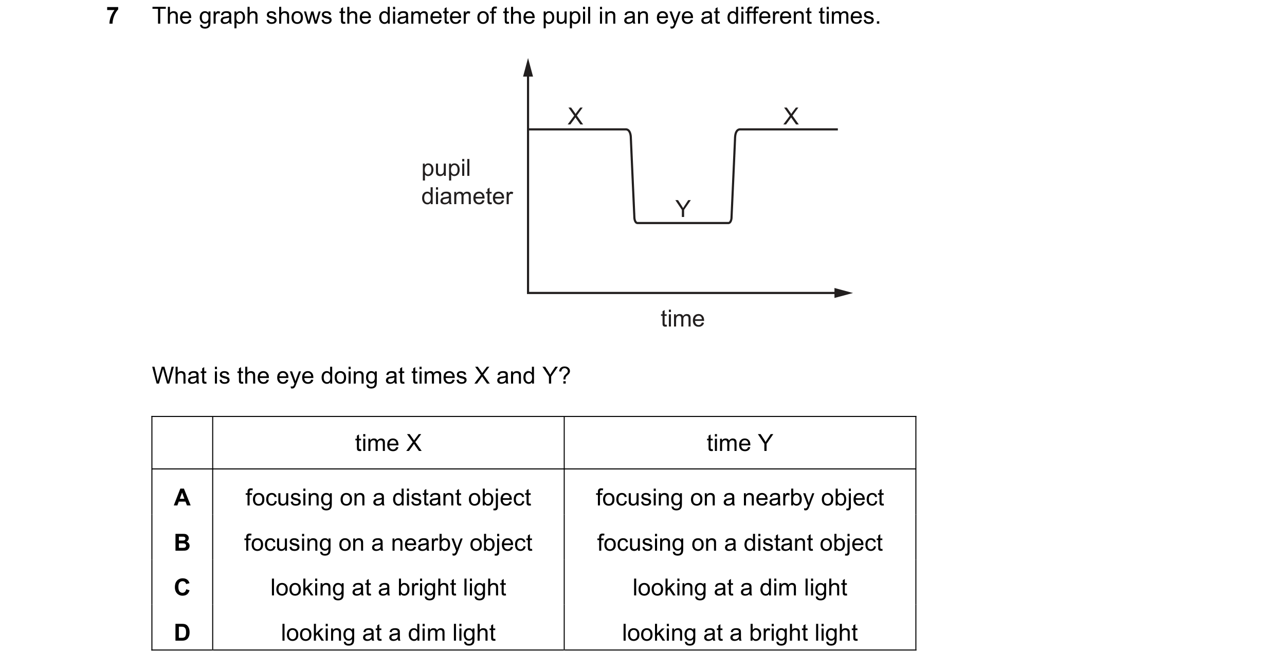 Question 5: The graph shows the diameter of the pupil in an eye at different times. X X pupil diameter Y time What is the eye doing at times X and Y? t…