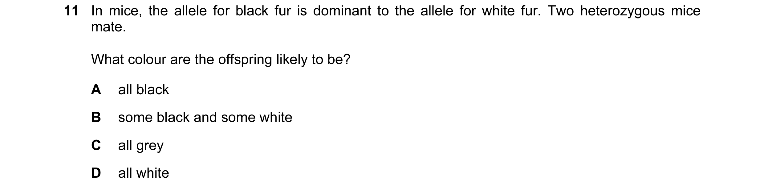 Question 14: In mice, the allele for black fur is dominant to the allele for white fur. Two heterozygous mice mate. What colour are the offspring likely…