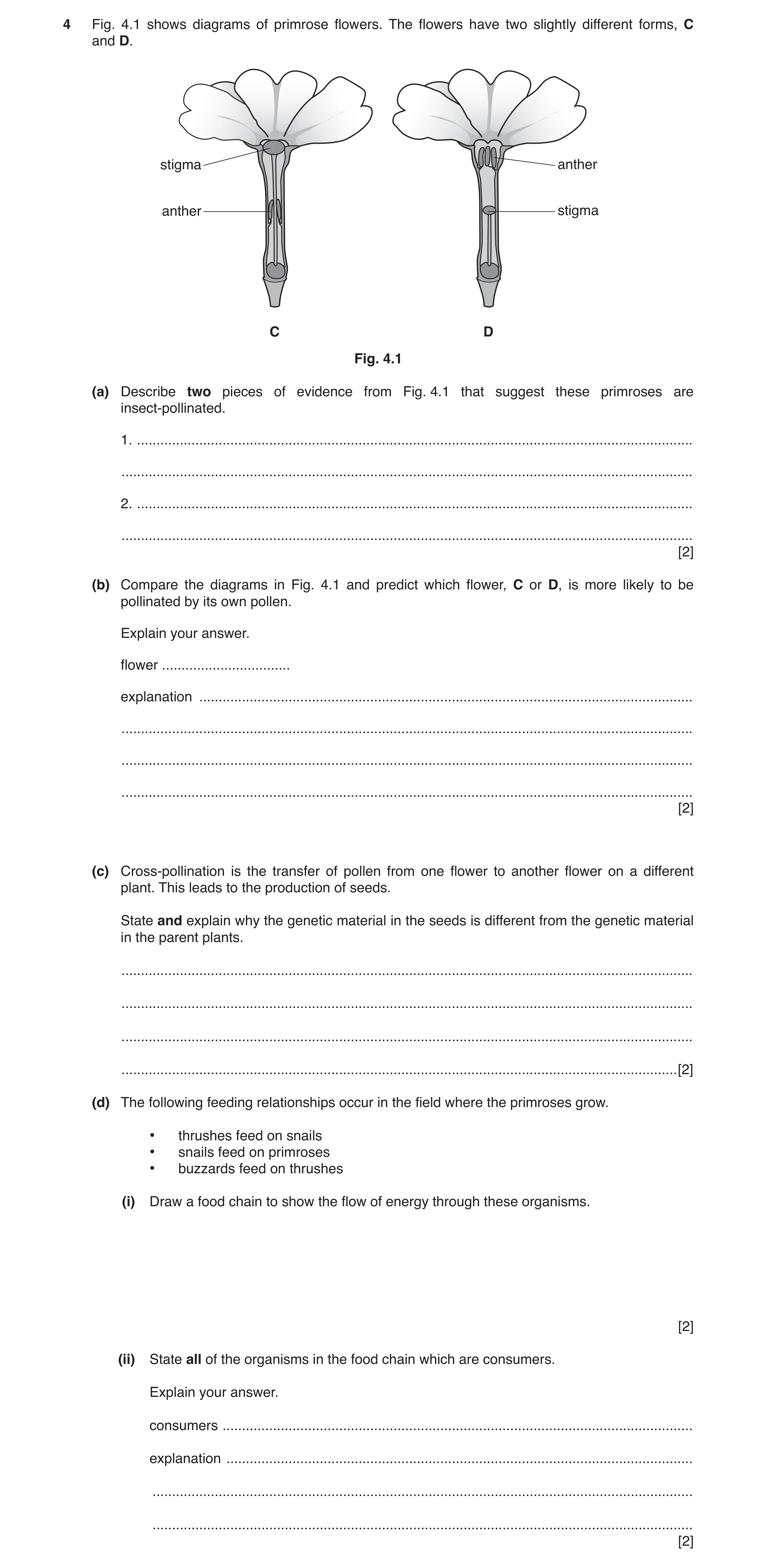Question 2: Fig. 4.1 shows diagrams of primrose flowers. The flowers have two slightly different forms, C and D. stigma anther anther stigma C D Fig. 4…