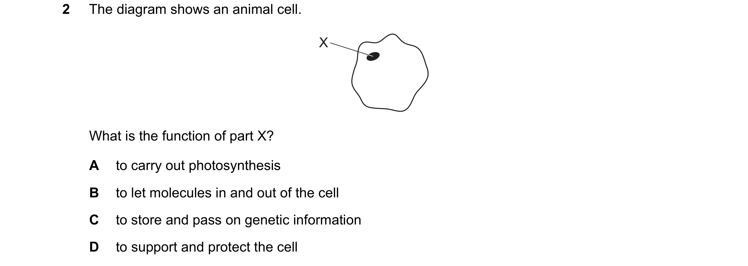 Question 83: The diagram shows an animal cell. X What is the function of part X? A to carry out photosynthesis B to let molecules in and out of the cell…