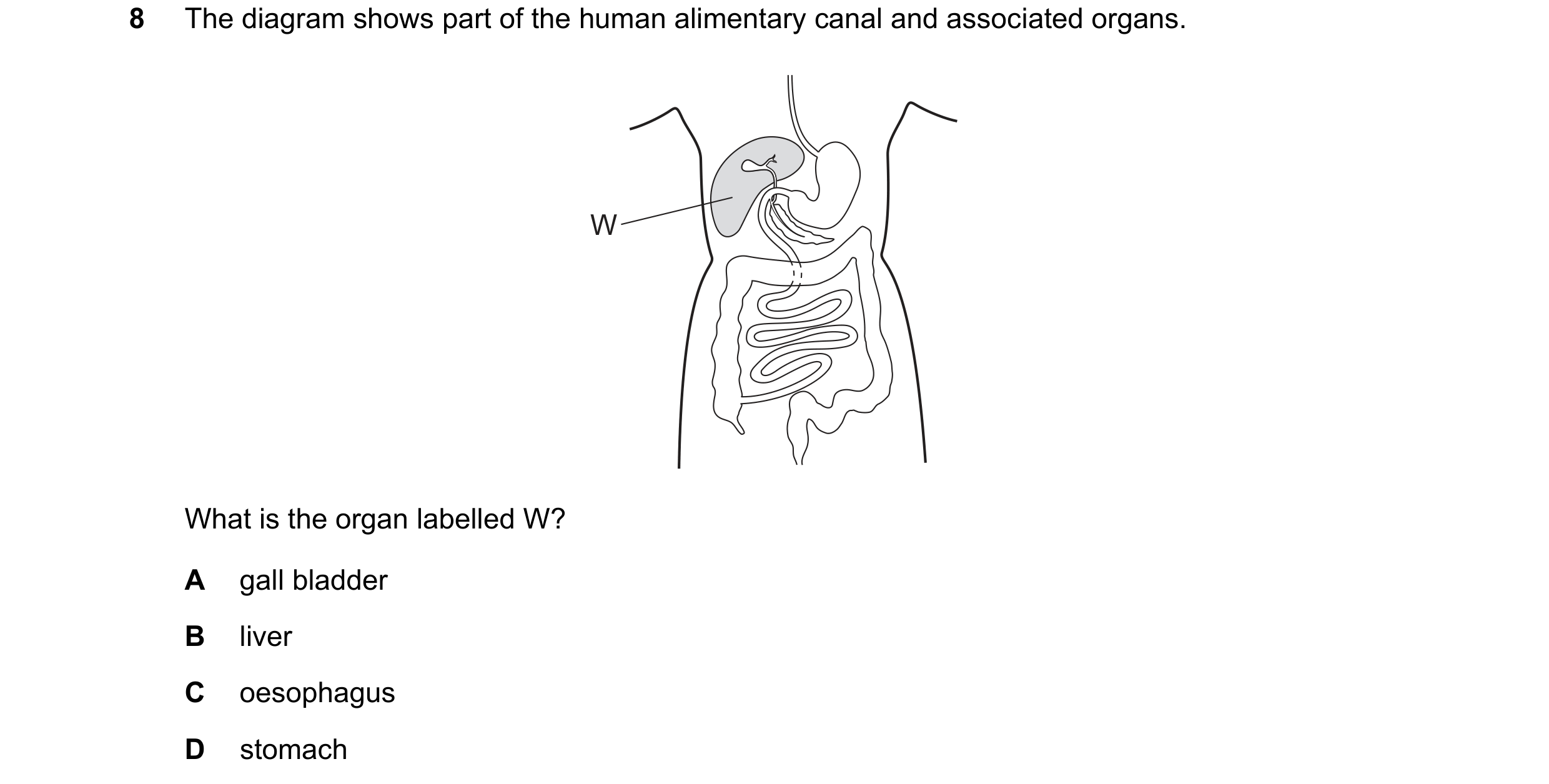 Question 48: The diagram shows part of the human alimentary canal and associated organs. W What is the organ labelled W? A gall bladder B liver C oesoph…