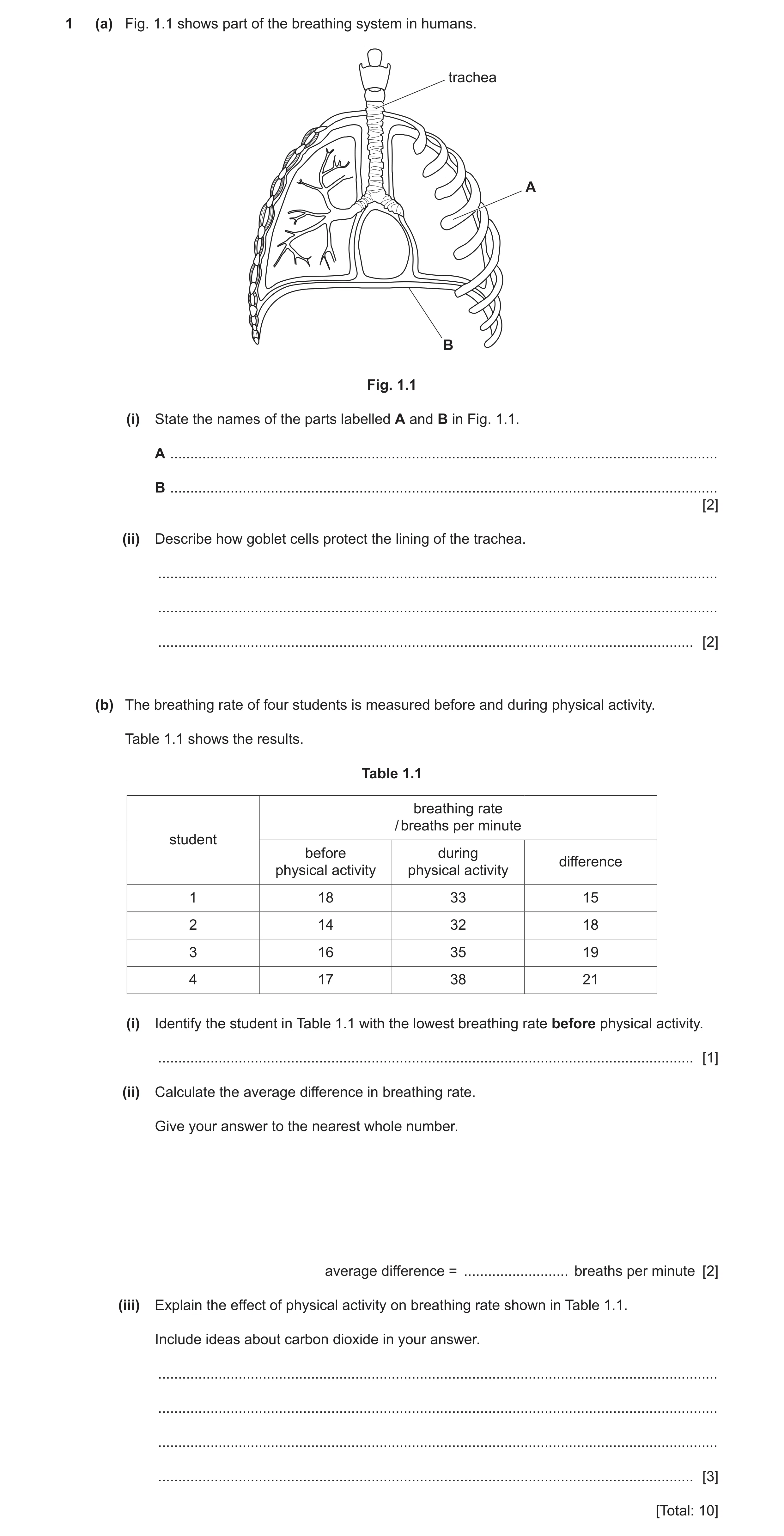 Question 21: (a) Fig. 1.1 shows part of the breathing system in humans. trachea A B Fig. 1.1 (i) State the names of the parts labelled A and B in Fig. 1…