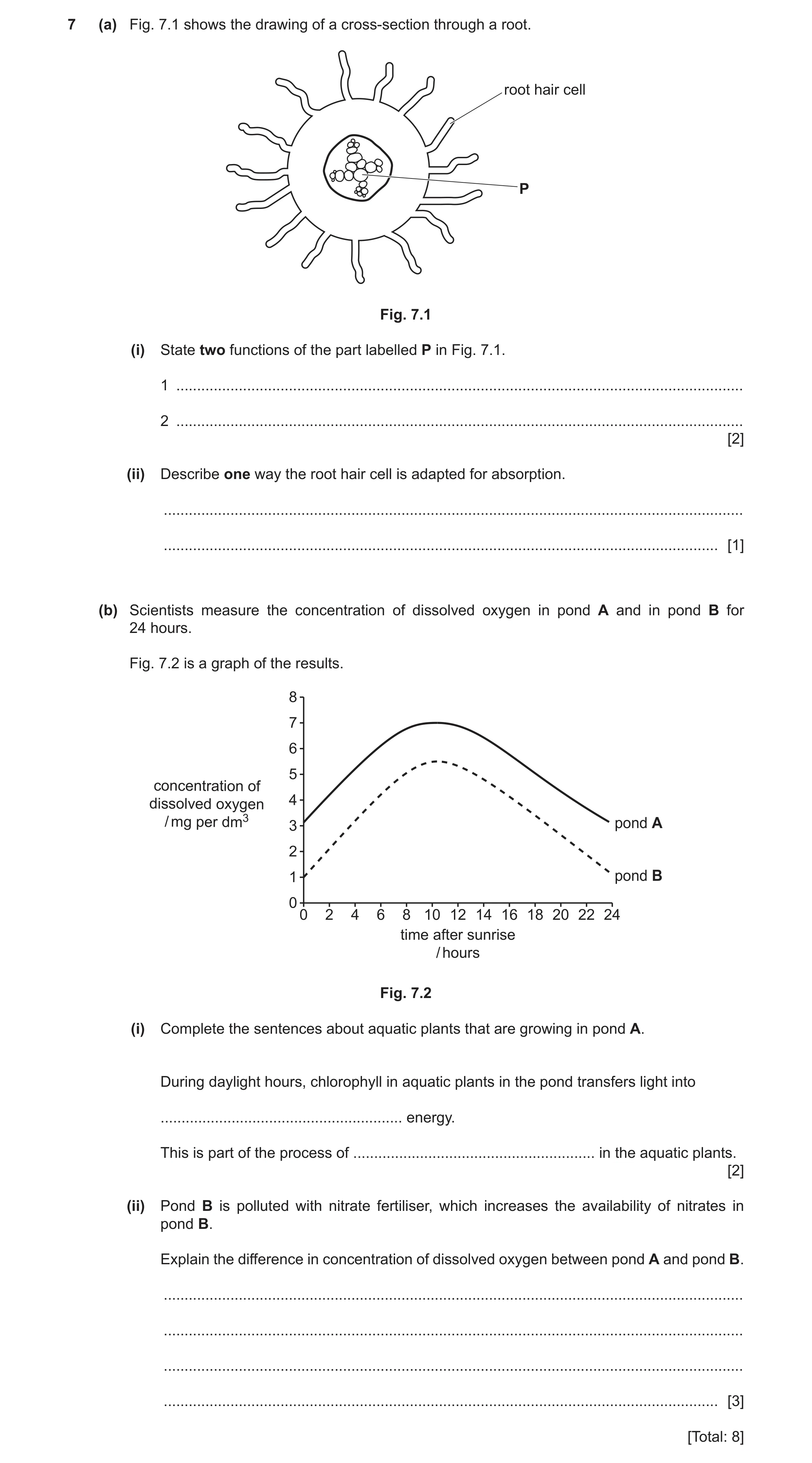Question 22: (a) Fig. 7.1 shows the drawing of a cross‑section through a root. root hair cell P Fig. 7.1 (i) State two functions of the part labelled P …