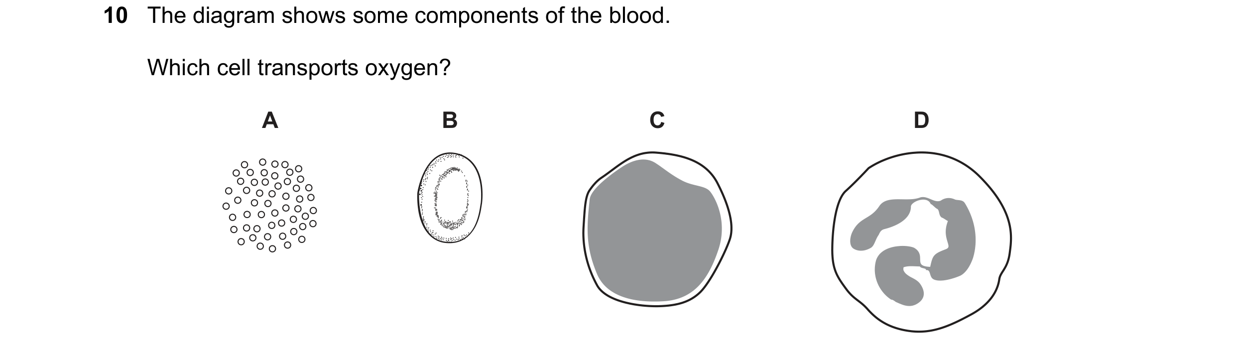 Question 26: The diagram shows some components of the blood. Which cell transports oxygen? A B C D