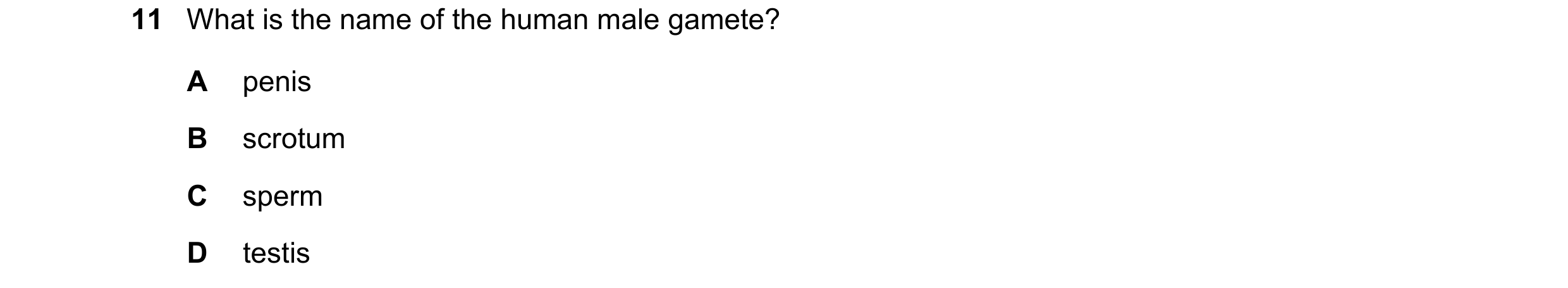 Question 96: What is the name of the human male gamete? A penis B scrotum C sperm D testis