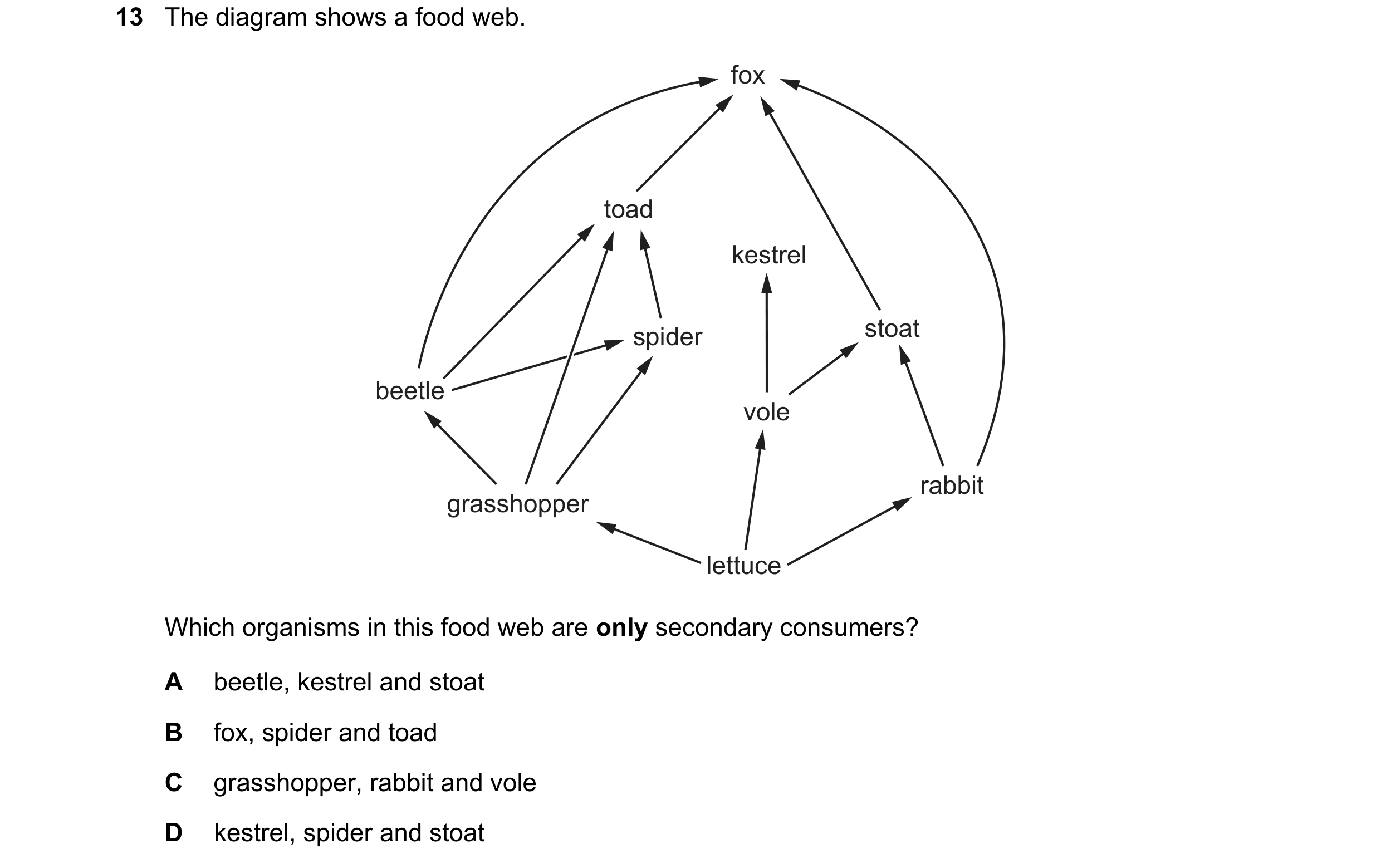 Question 60: The diagram shows a food web. fox toad kestrel spider stoat beetle vole rabbit grasshopper lettuce Which organisms in this food web are onl…