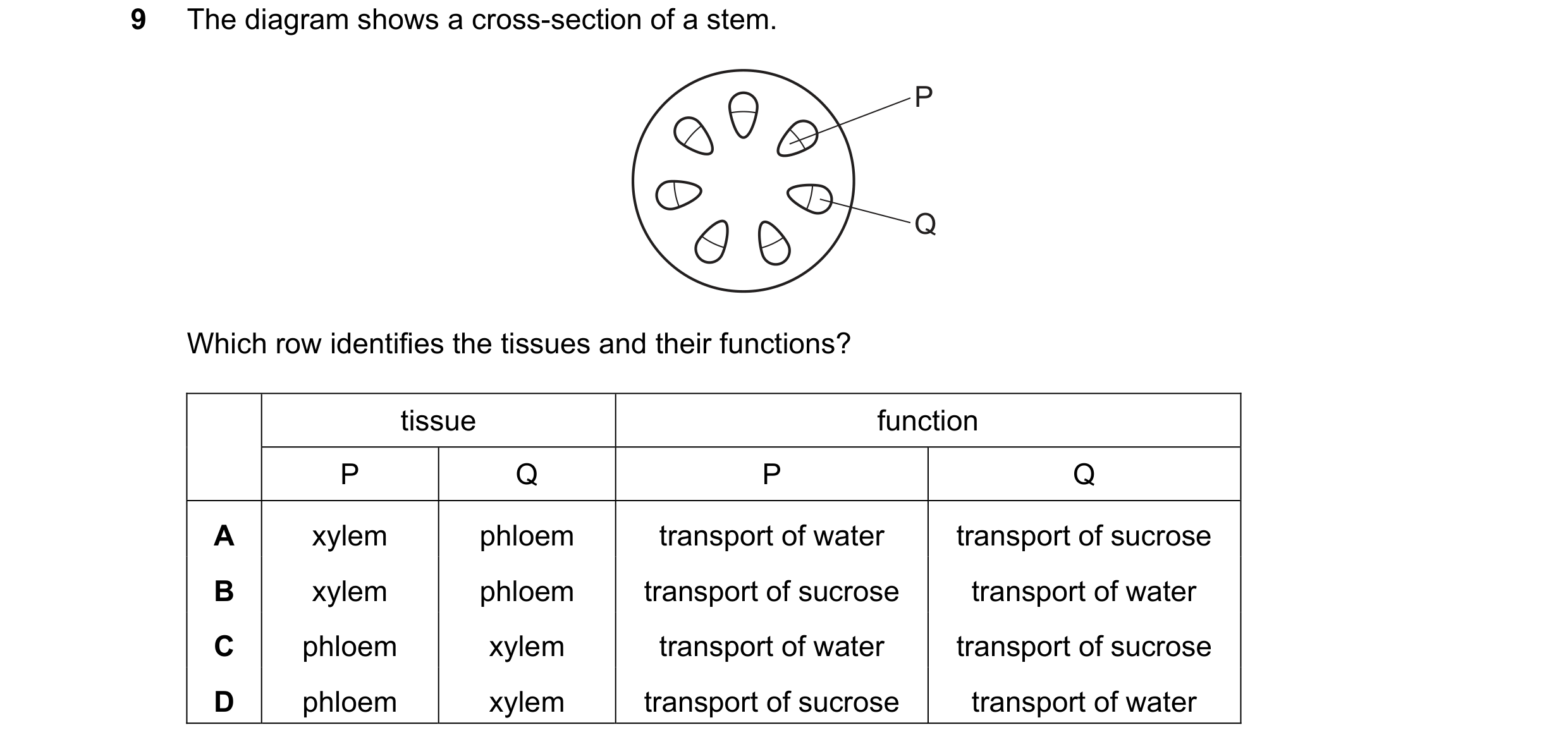 Question 23: The diagram shows a cross-section of a stem. P Q Which row identifies the tissues and their functions? tissue function P Q P Q A xylem phlo…