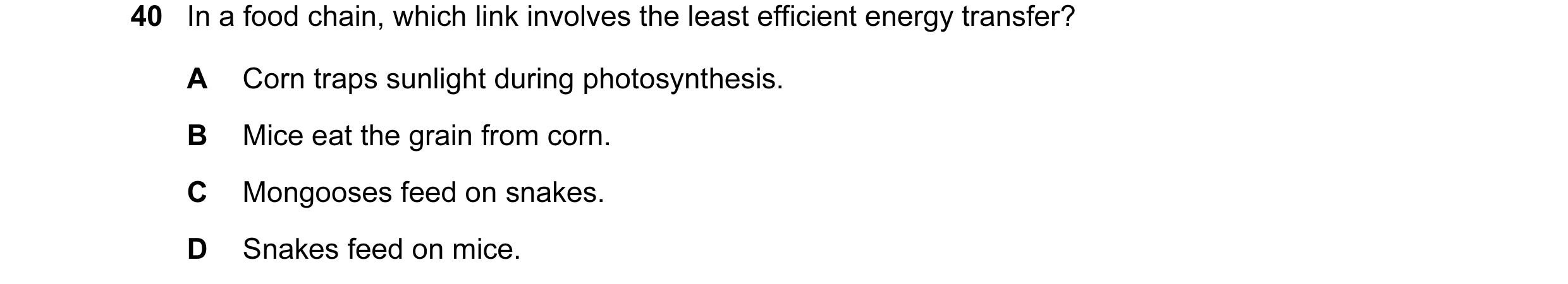 Question 18: In a food chain, which link involves the least efficient energy transfer? A Corn traps sunlight during photosynthesis. B Mice eat the grain…