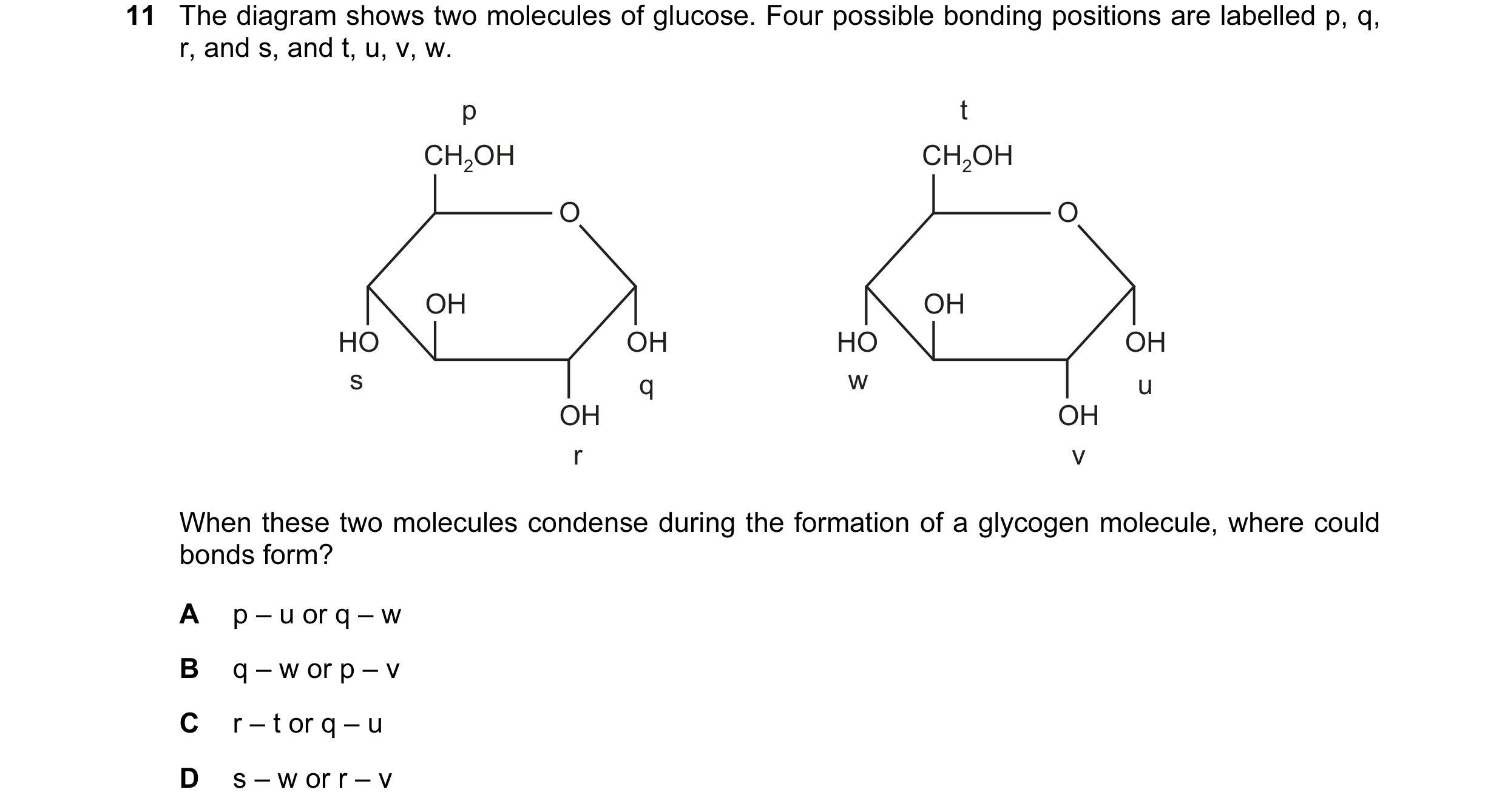 Question 64: The diagram shows two molecules of glucose. Four possible bonding positions are labelled p, q, r, and s, and t, u, v, w. p t CH2OH CH2OH O …